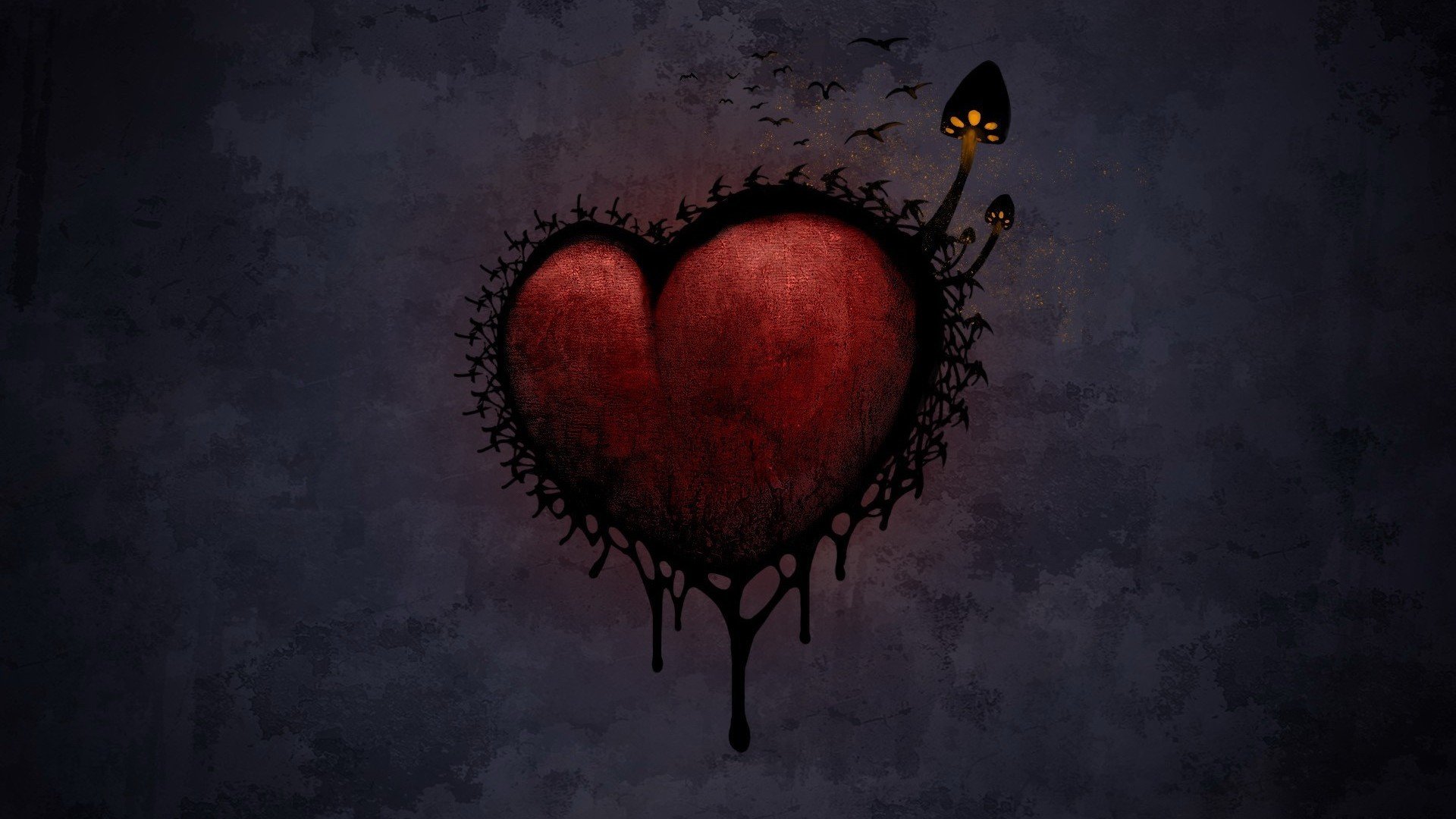 爱情美图,心动创意,十二月十二日