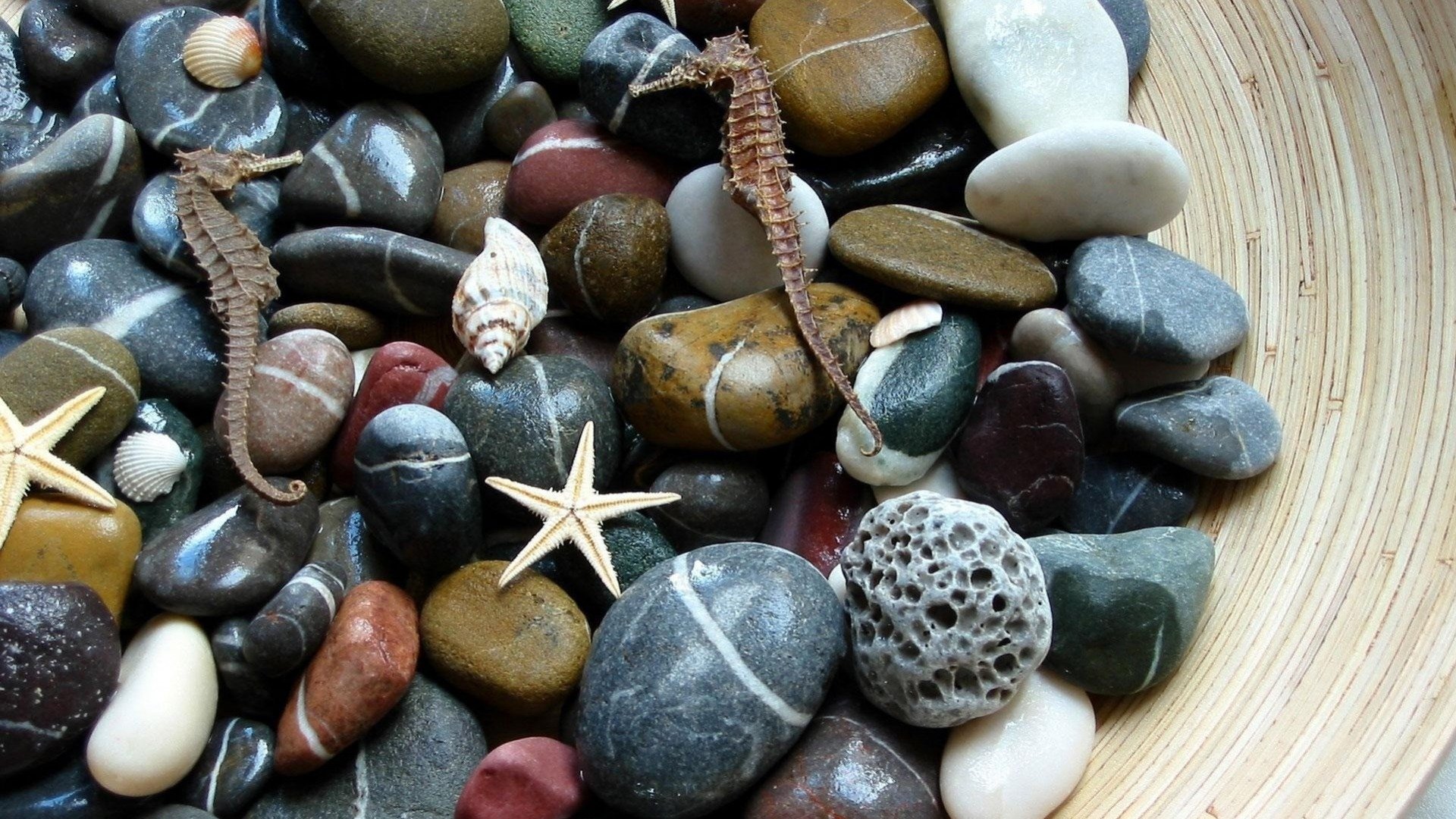 小清新,静物写真,静物,石头,十二月十一日,儿童桌面专用