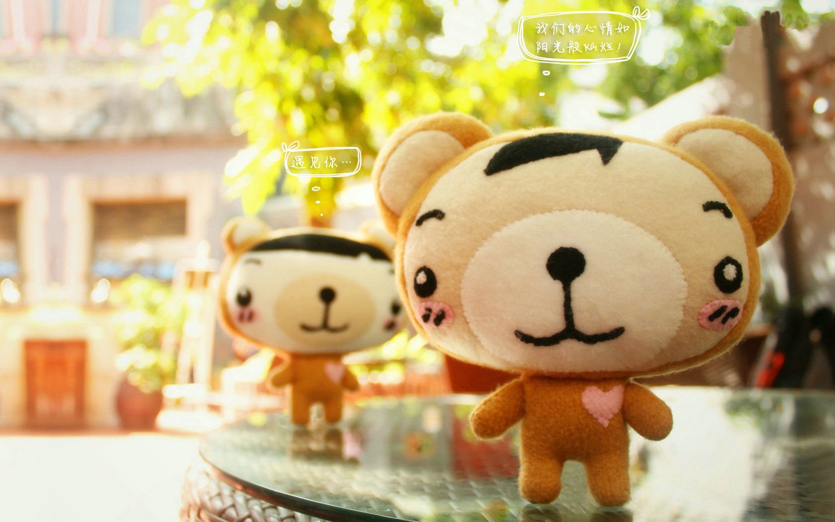 爱情美图,唯美温馨,幸福,只因有你