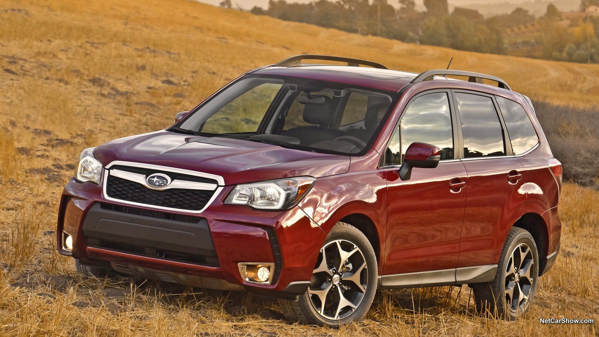 汽车,越野车,斯巴鲁,森林人,2014款,Subaru,Forester,儿童桌面专用