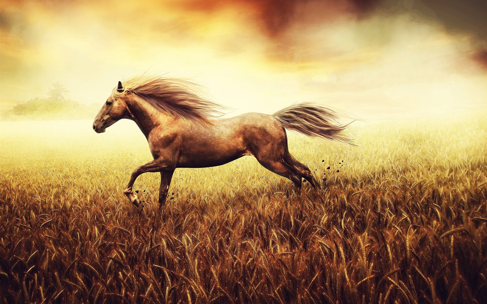 炫酷,设计,炫彩,十二月十三日,儿童桌面专用