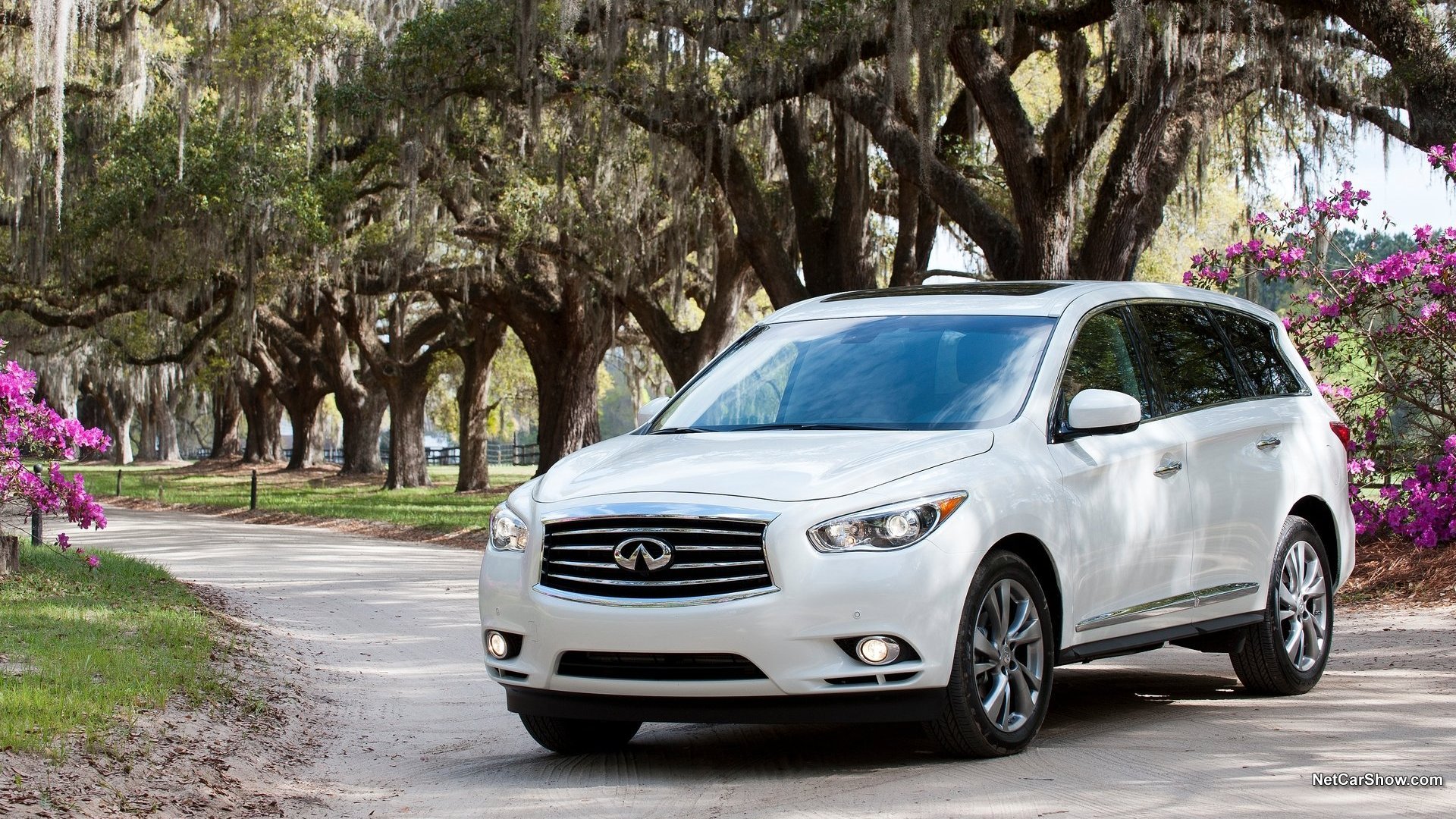 汽车,suv,英菲尼迪,儿童桌面专用