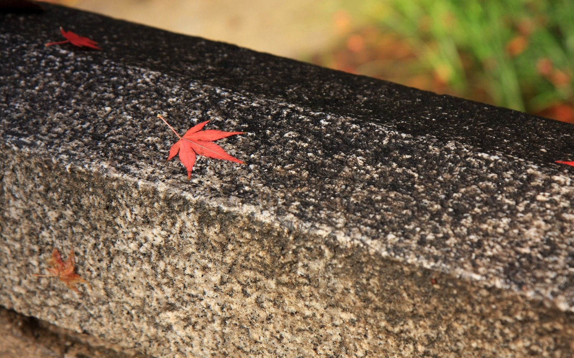 小清新,清新淡雅,淡雅,树叶,十二月六日