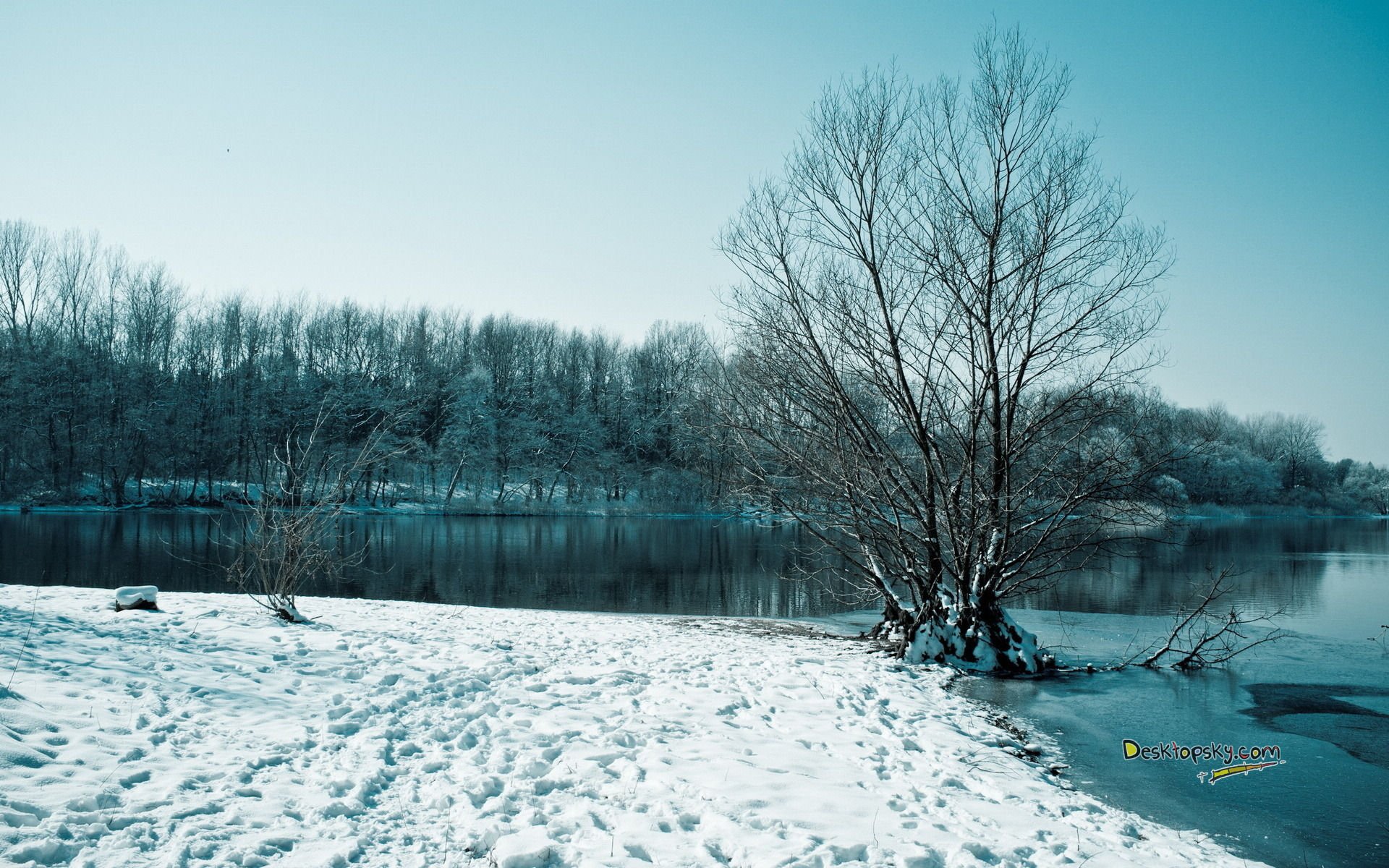 小清新,护眼壁纸,儿童桌面专用
