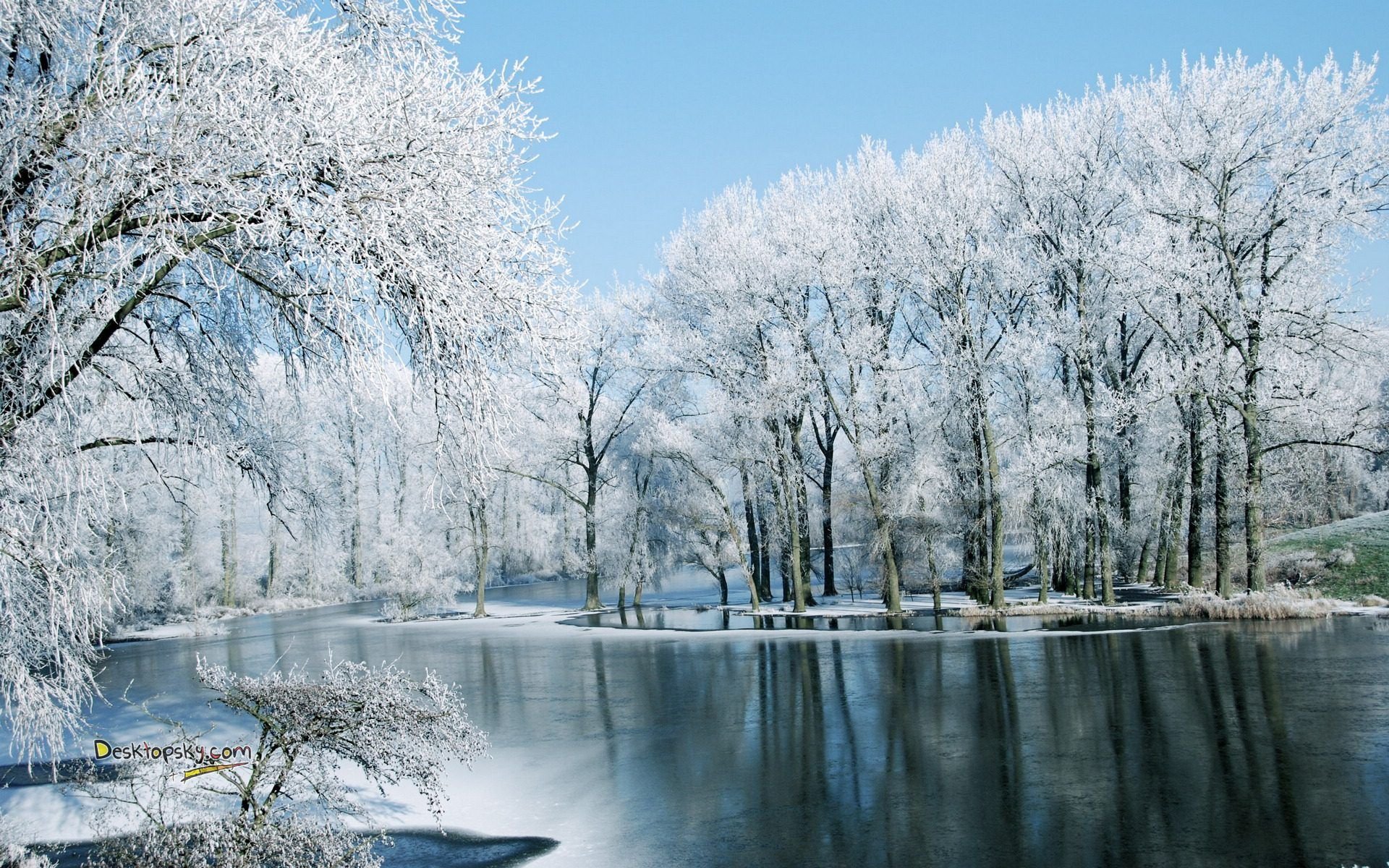 风景,冰天雪地,儿童桌面专用