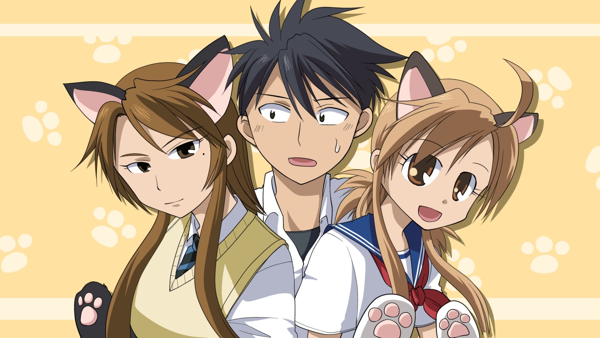 动漫,猫愿三角恋,动漫少女,儿童桌面专用