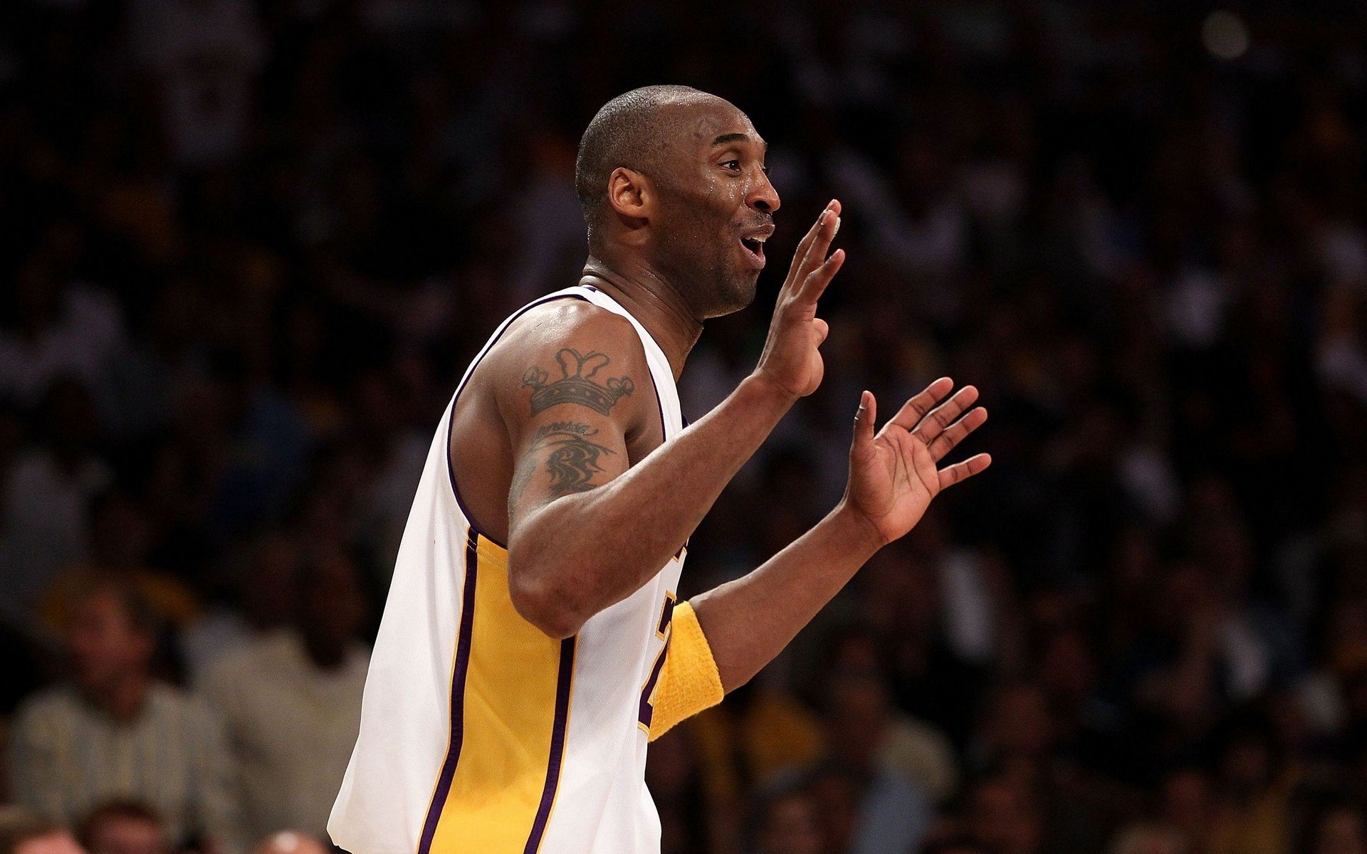 体育,NBA,科比,湖人队