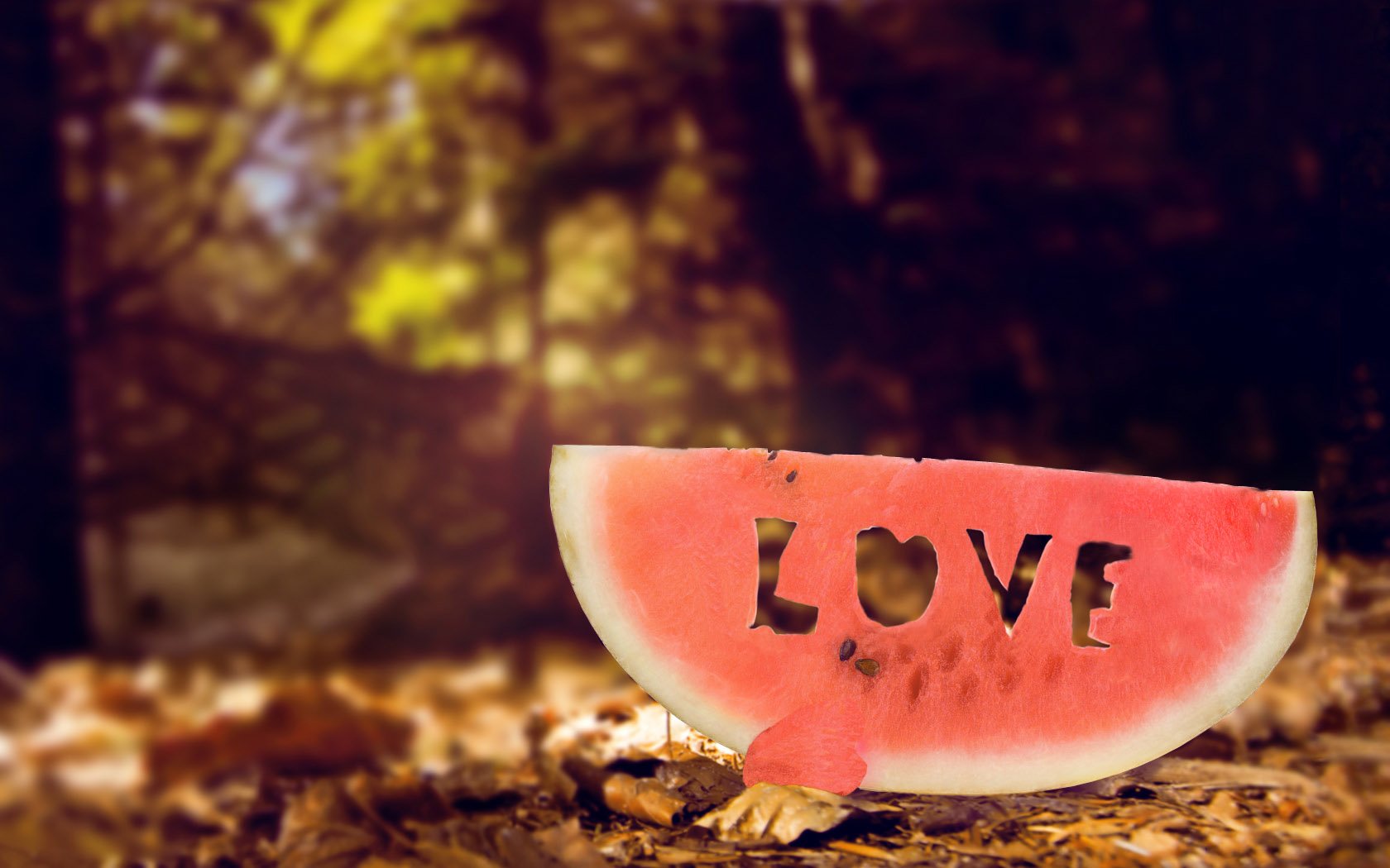 爱情,心动创意,十二月十日精选