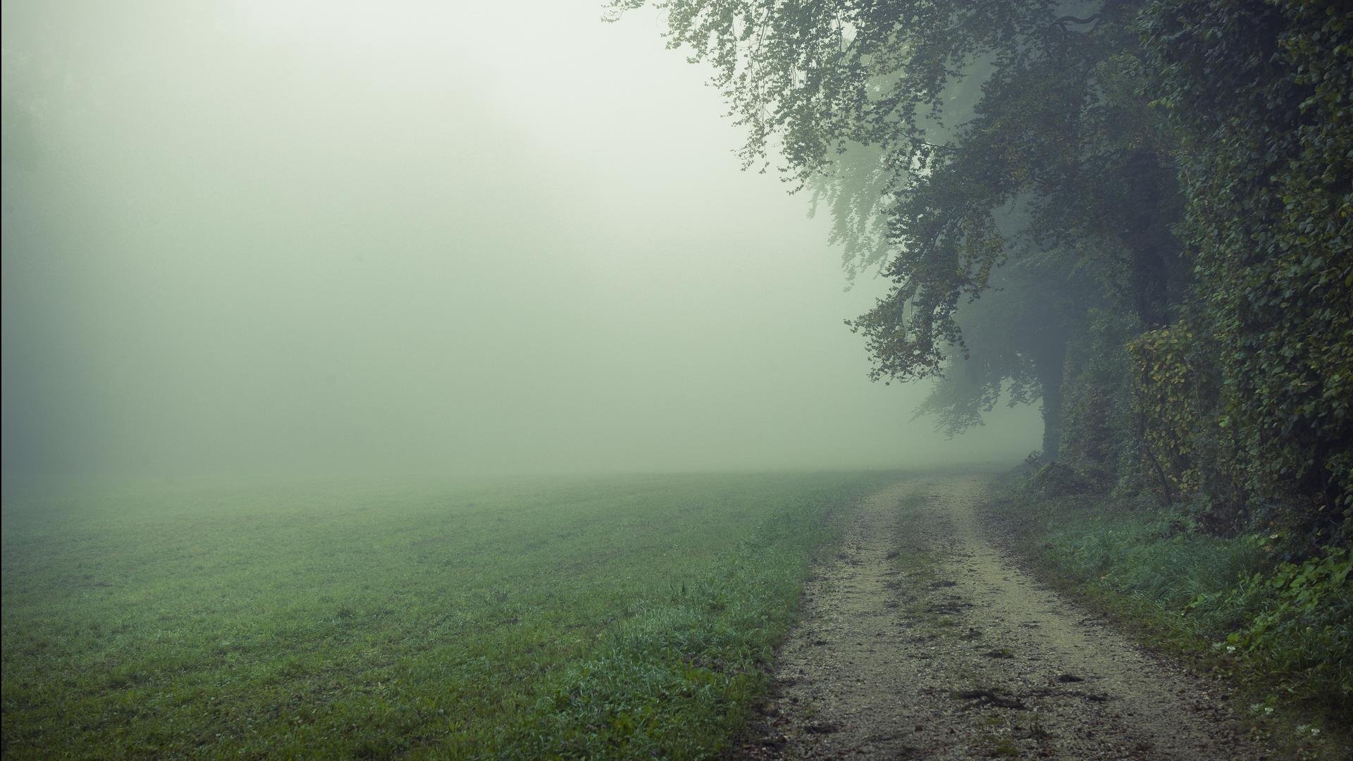 风景,碧绿草原,儿童桌面专用