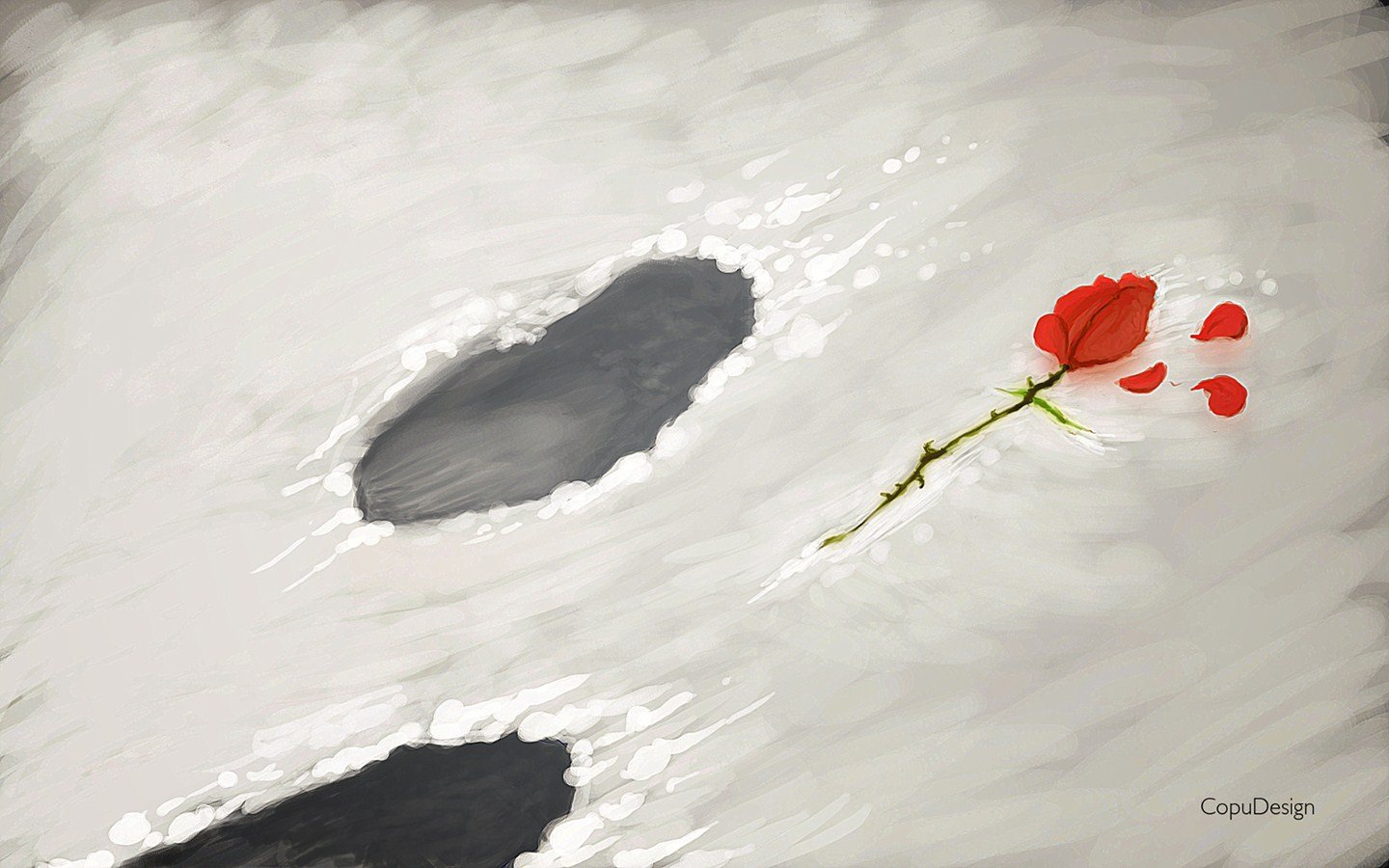 小清新,静物写真,静物,玫瑰,十二月二十五日,儿童桌面专用