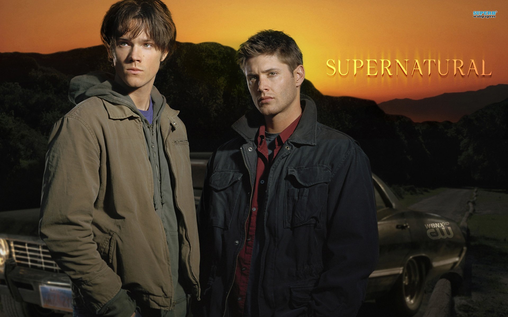 影视,美剧,邪恶力量,十二月十日