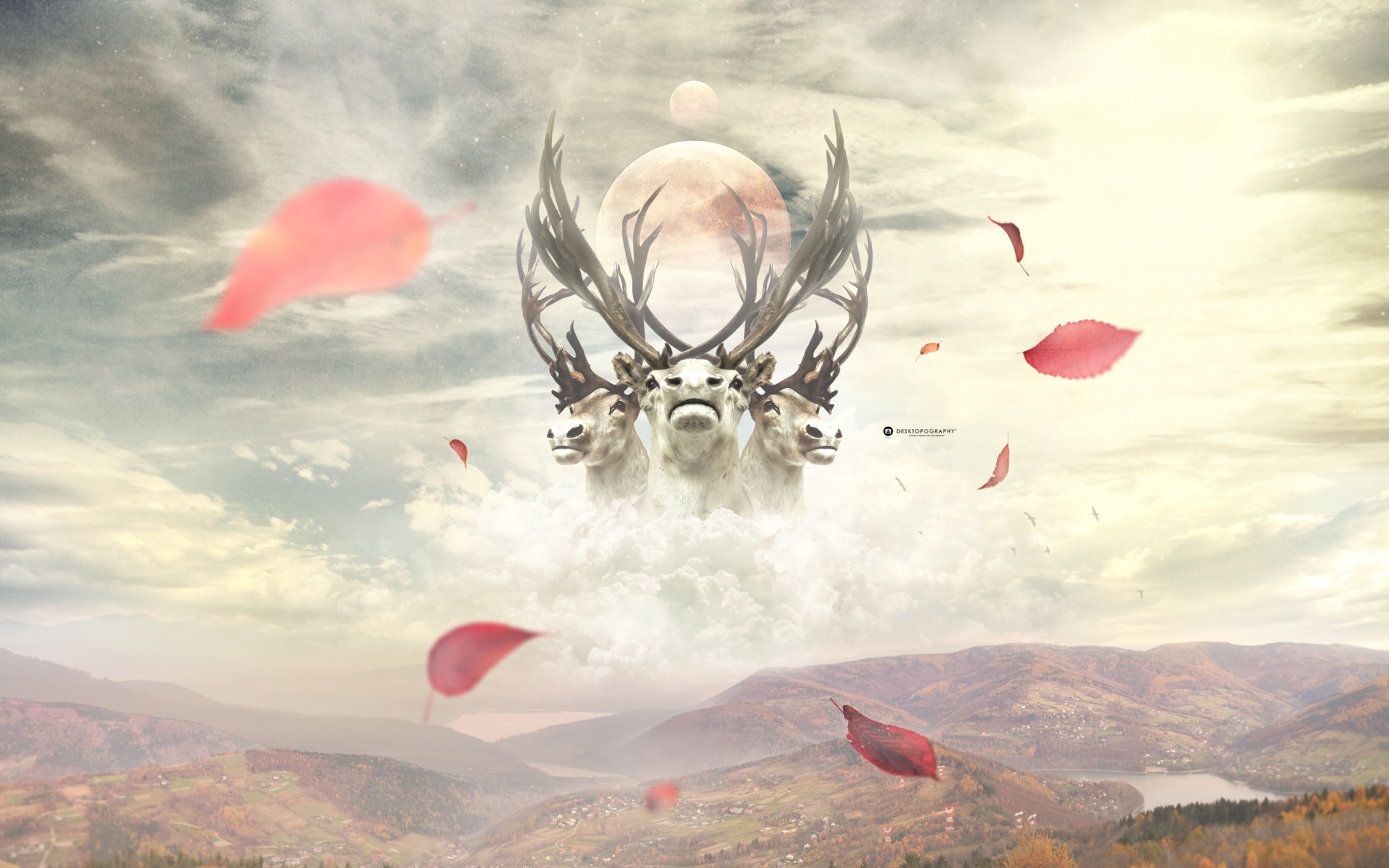 炫酷,设计,炫彩,十二月十三日,儿童桌面专用