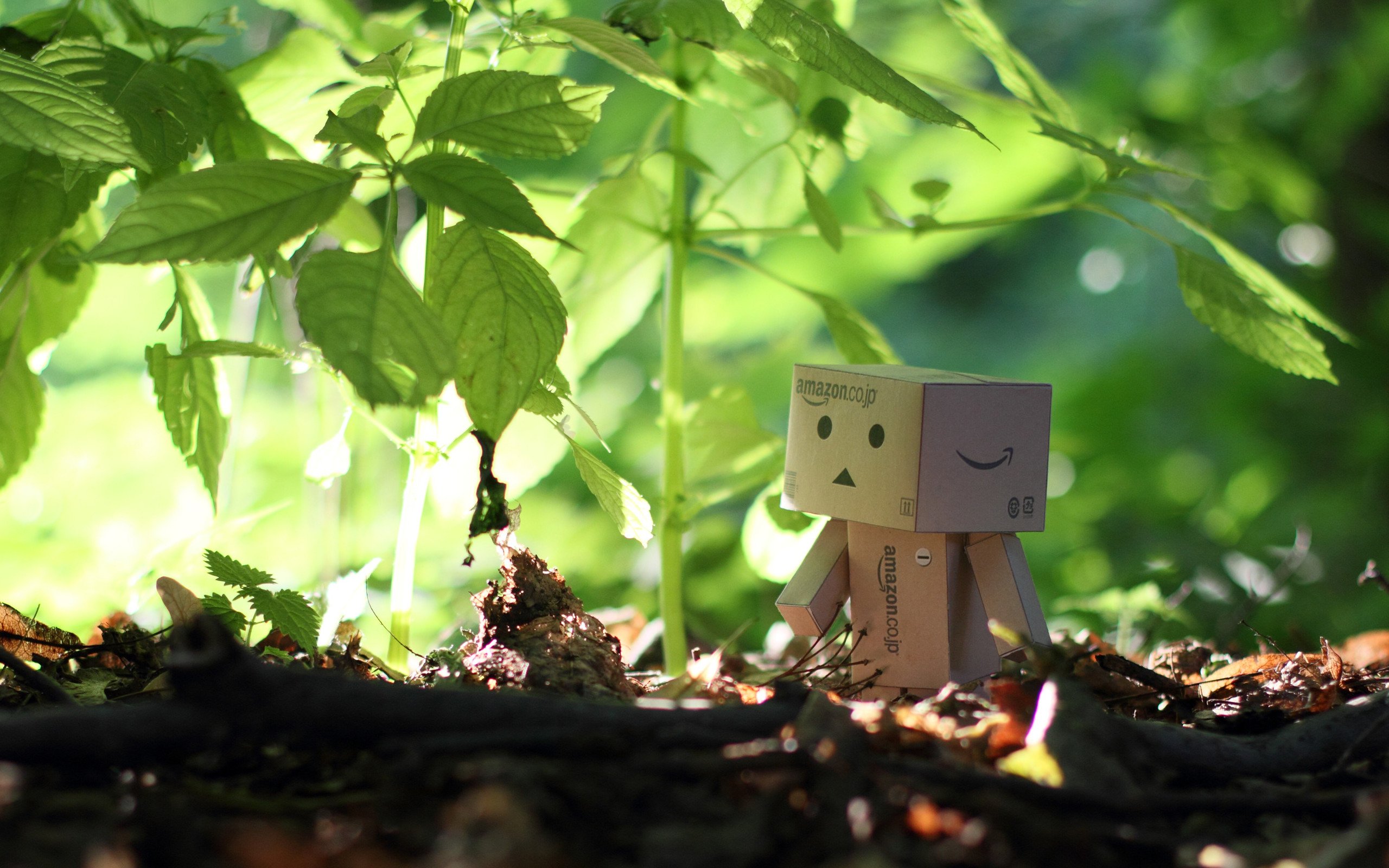 小清新,护眼壁纸,纸箱人,十二月二十一日,儿童桌面专用