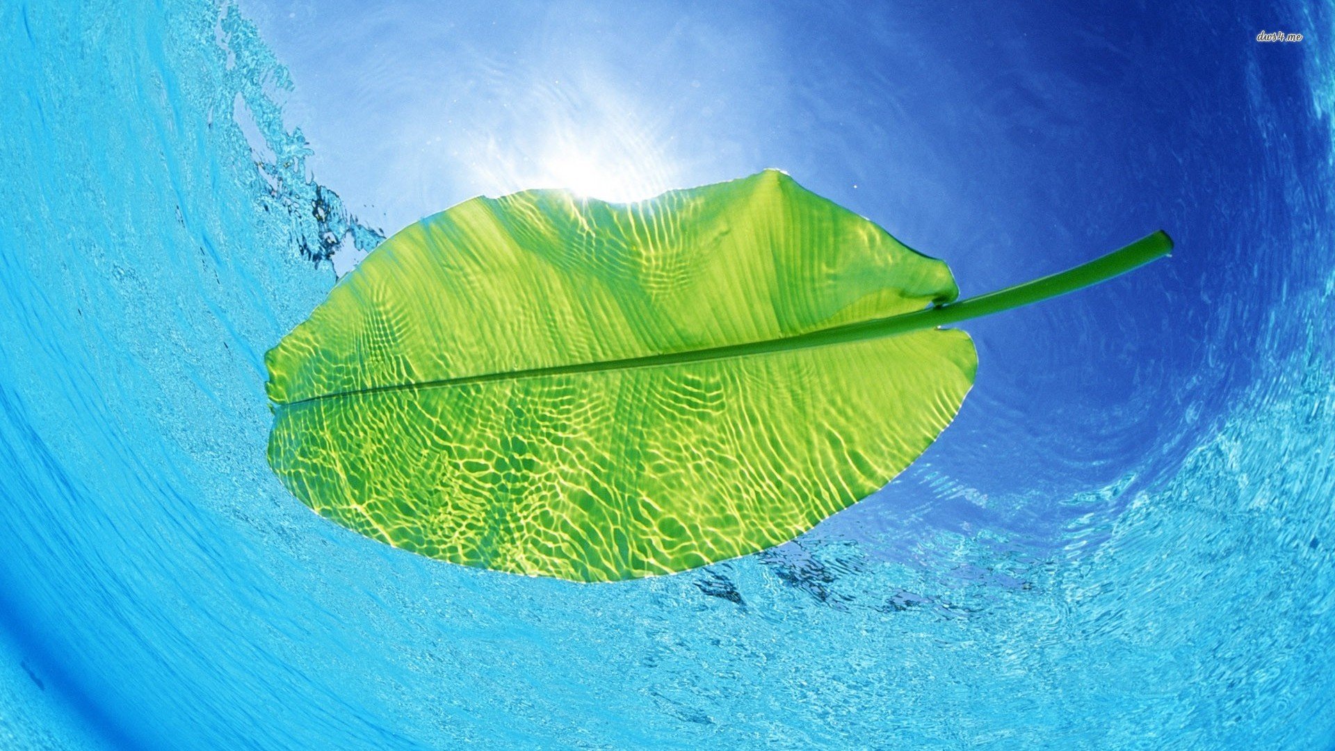 小清新,护眼壁纸,绿色,十二月十九日,儿童桌面专用