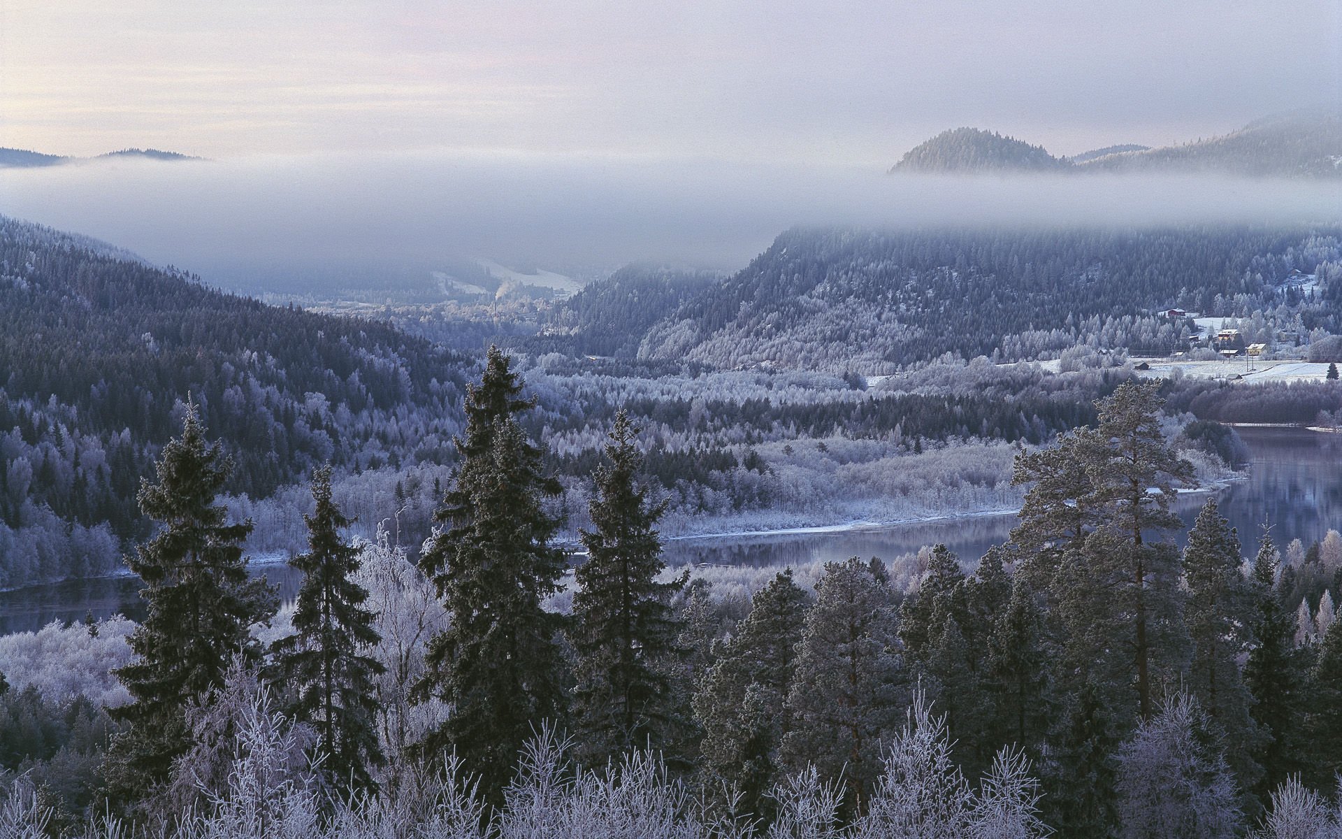 风景,冰天雪地,雪景,儿童桌面专用
