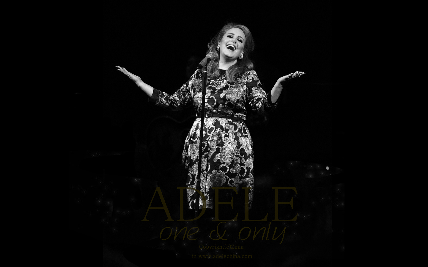 欧美,女明星,阿黛尔,ADELE,十二月十三日