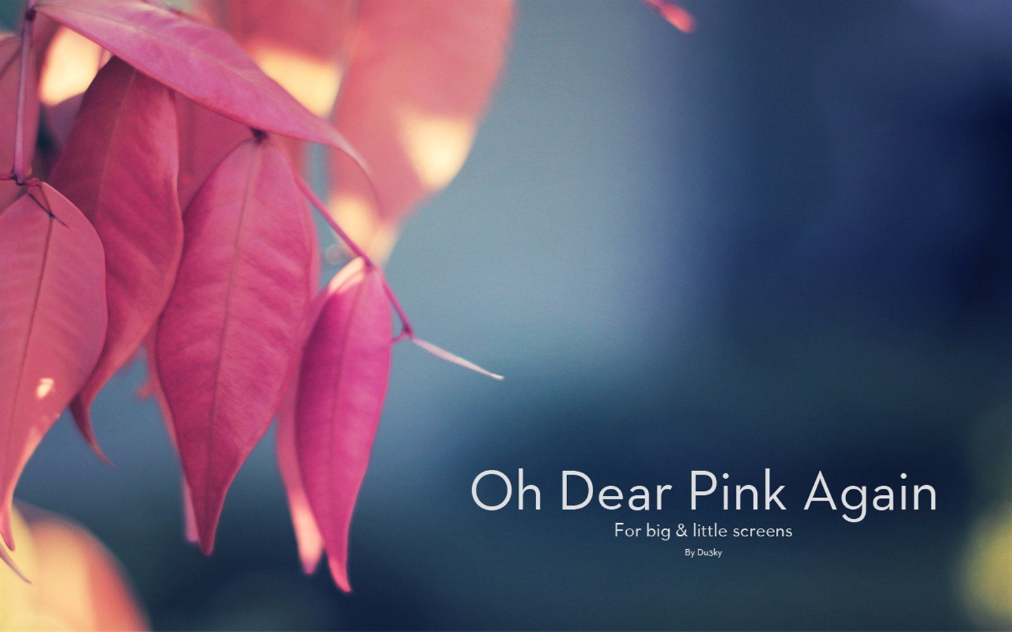 小清新,清新淡雅,淡雅,树叶,十二月十一日,儿童桌面专用