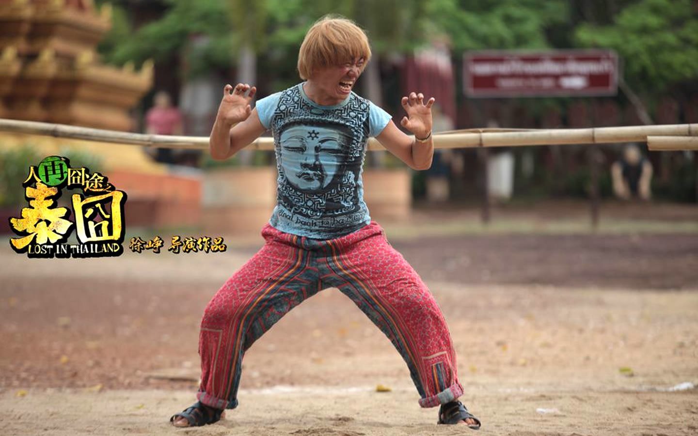 影视,泰囧,搞笑,王宝强