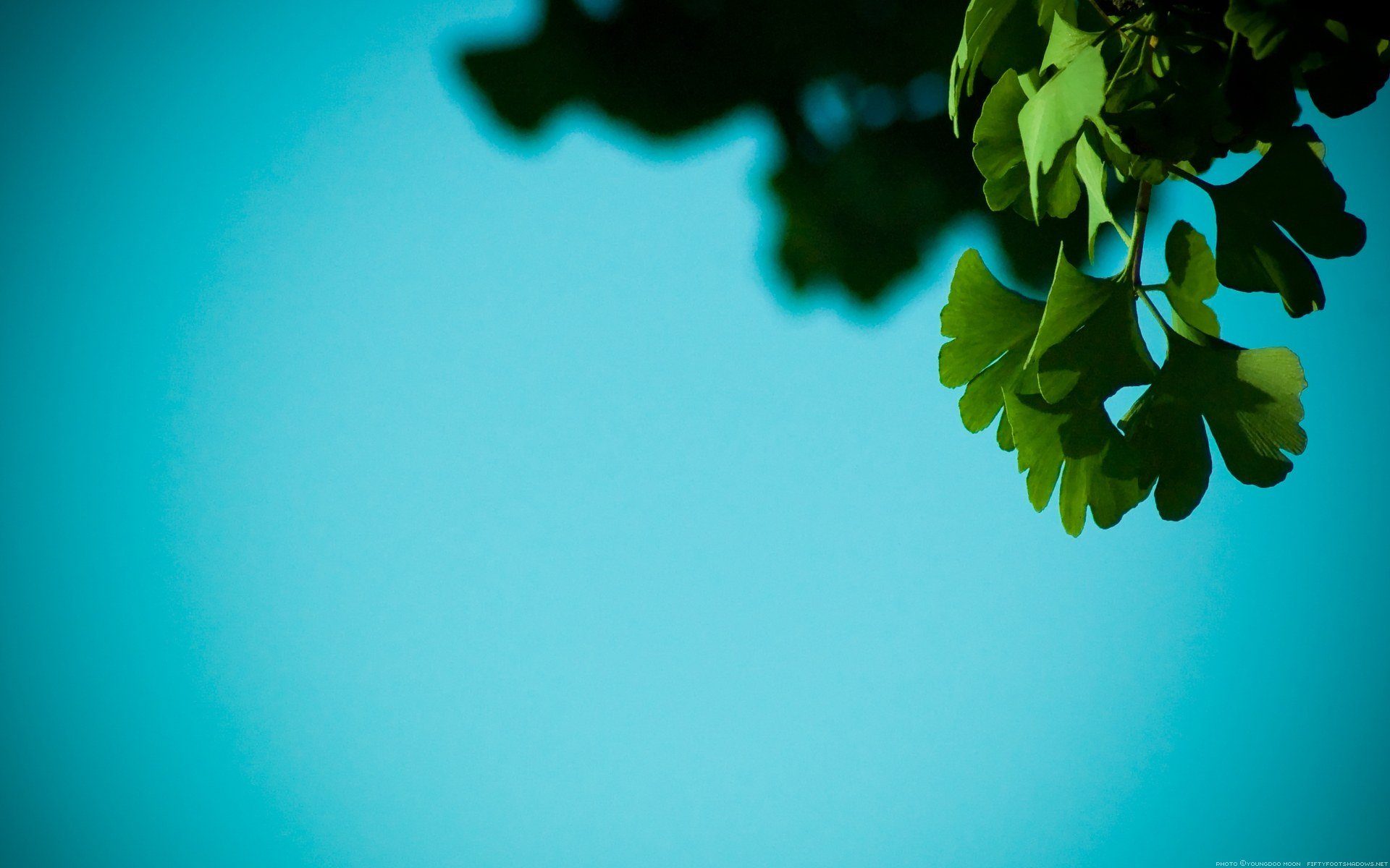 小清新,护眼壁纸,儿童桌面专用