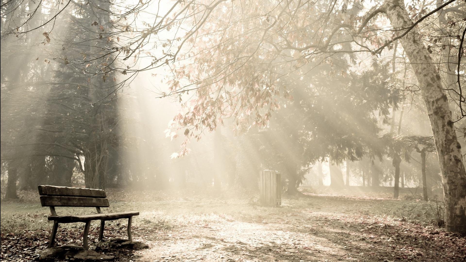 风景,秋意正浓,儿童桌面专用
