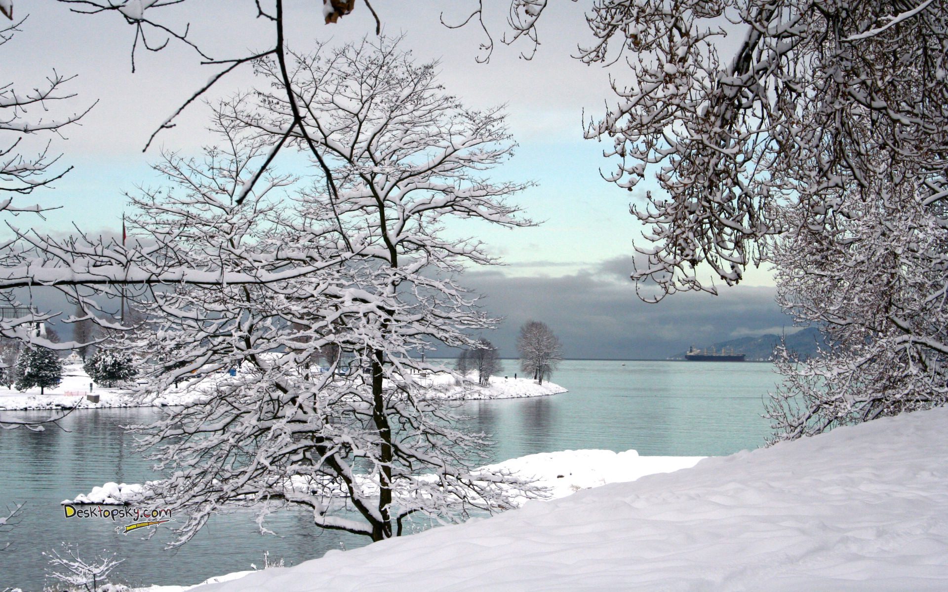 风景,冰天雪地,儿童桌面专用