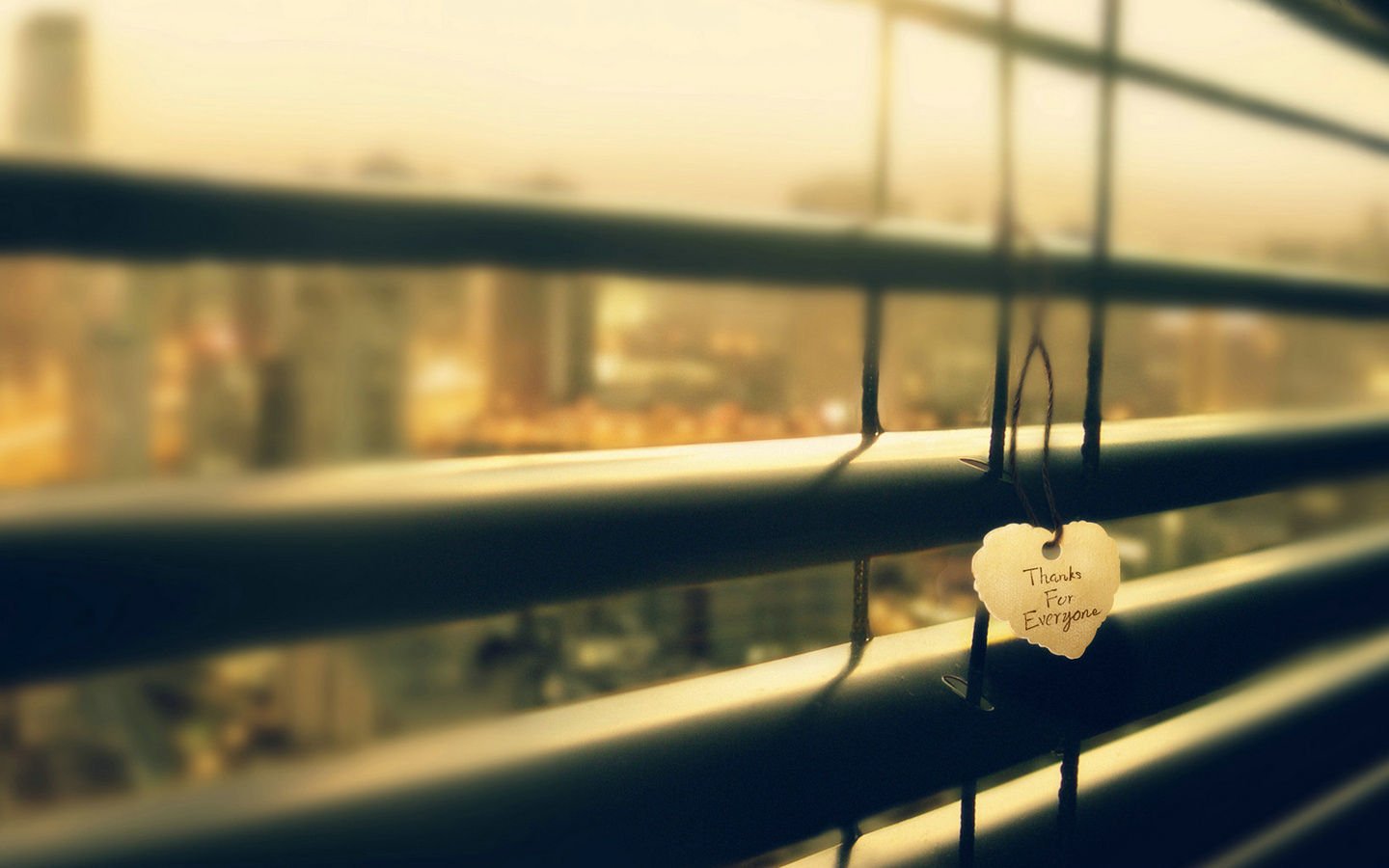 爱情美图,唯美温馨,心动,感恩