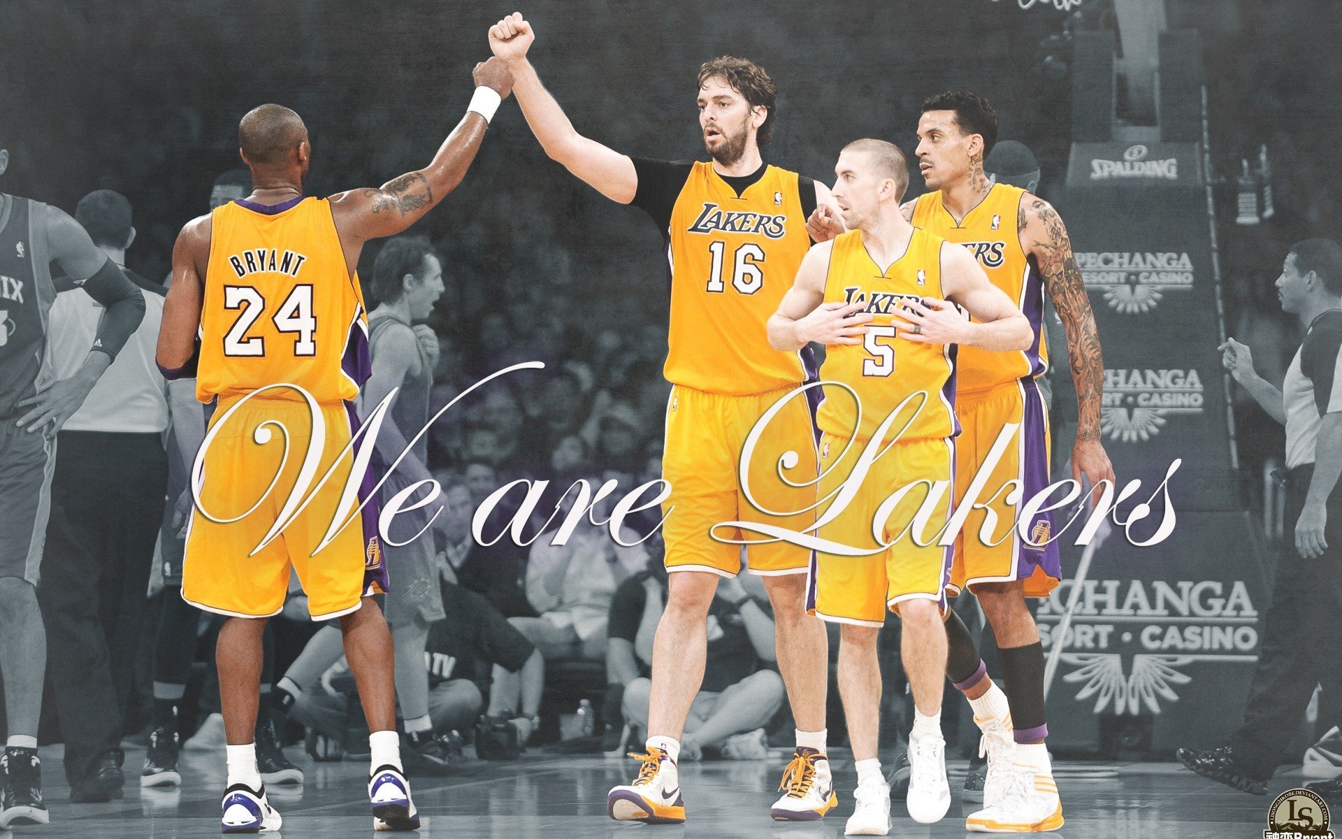 体育,NBA,湖人,科比