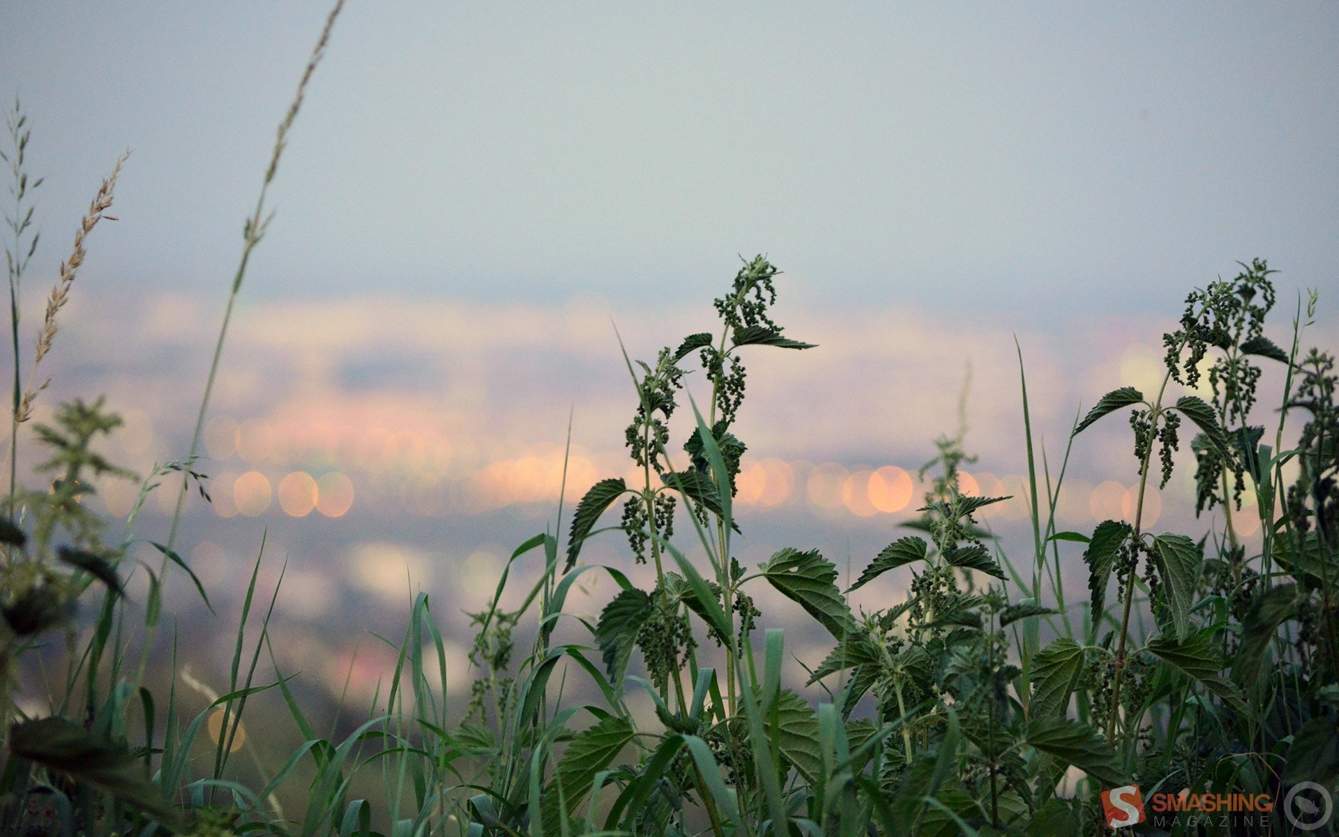 小清新,护眼壁纸,十二月二十七日,儿童桌面专用
