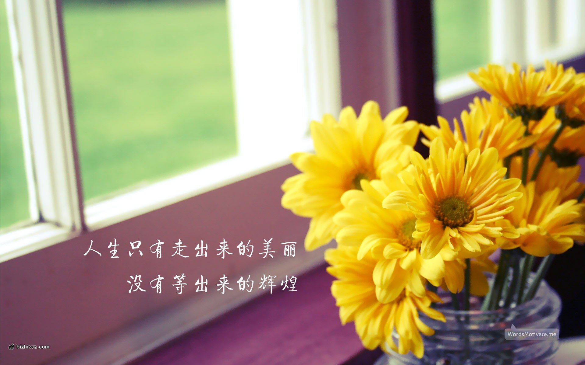 小清新,静物写真,静物,花卉,十二月二十四日,儿童桌面专用