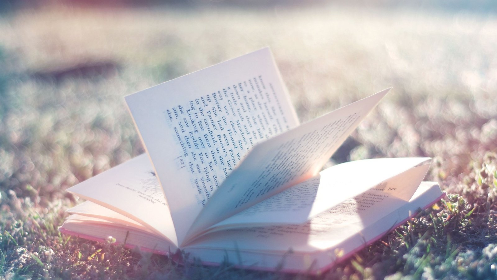 小清新,温馨一刻,温馨,书,十二月七日,儿童桌面专用