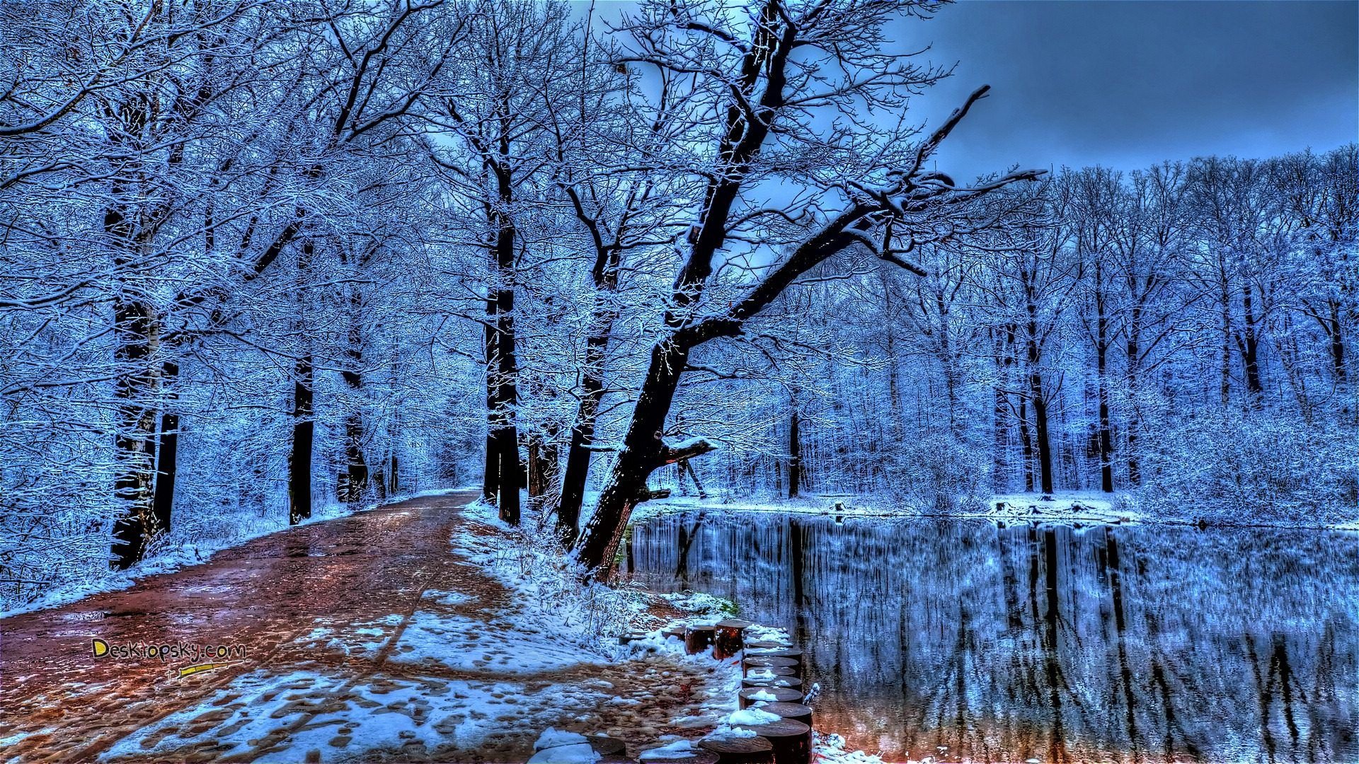 风景,冰天雪地,儿童桌面专用