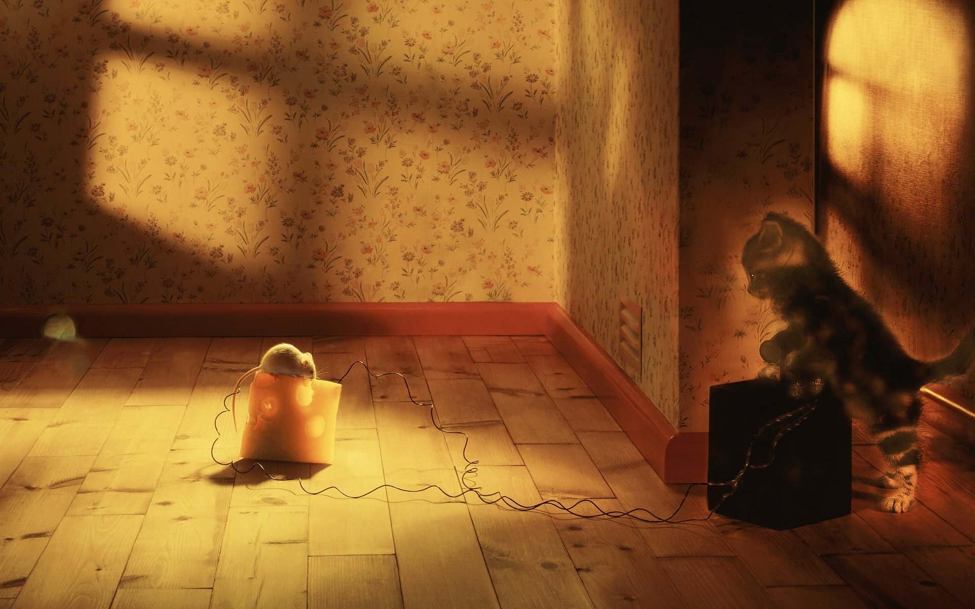 萌宠,喵星人,搞笑,儿童桌面专用