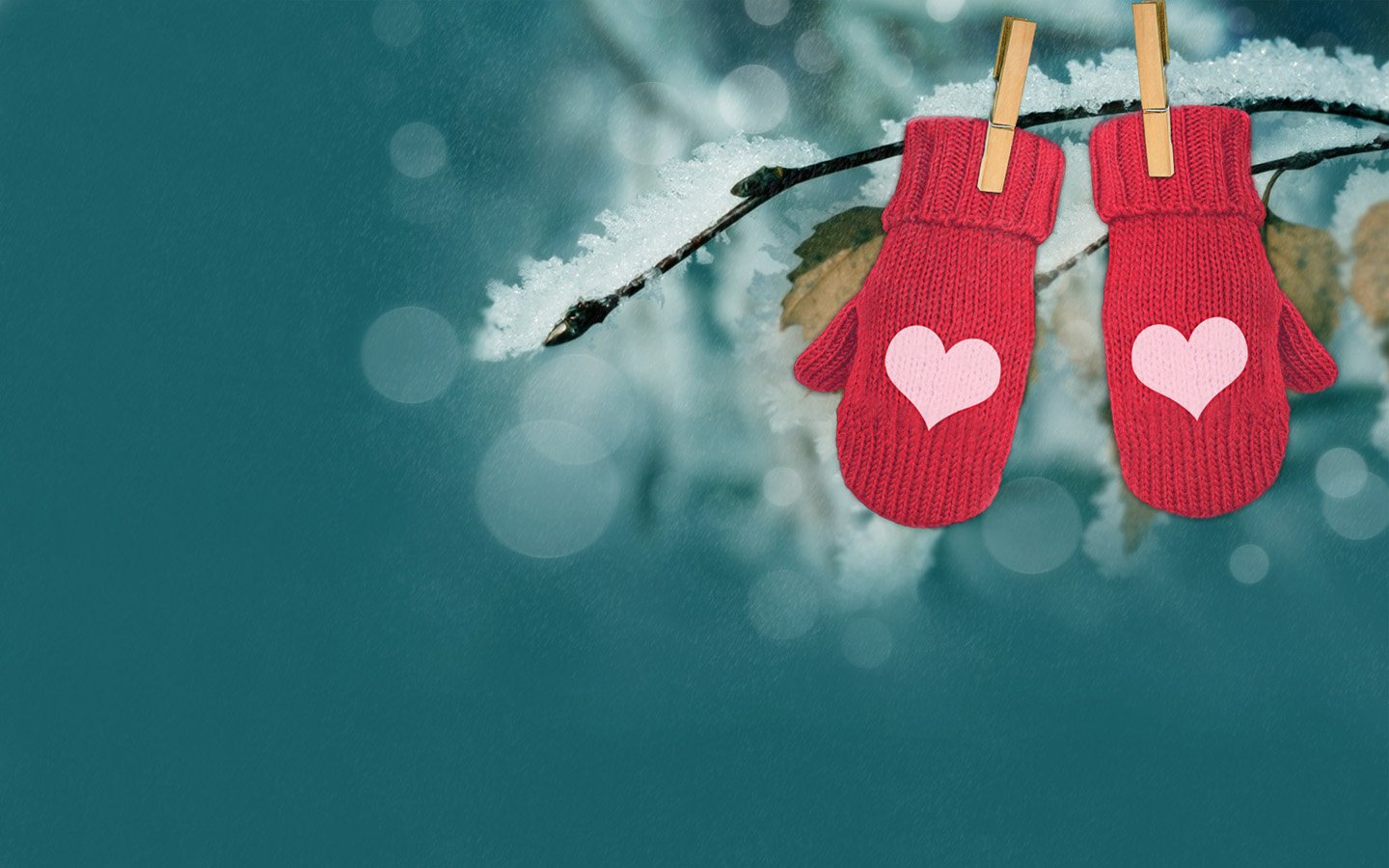 爱情,唯美温馨,十二月十一日精选