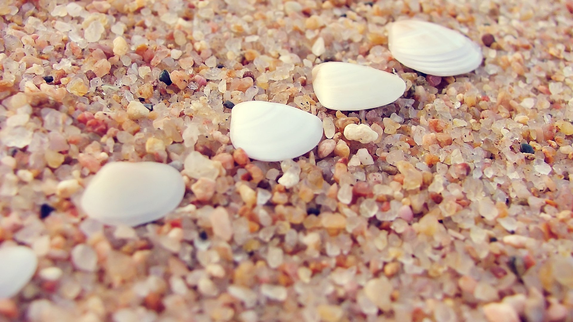 小清新,静物写真,静物,石头,十二月六日,儿童桌面专用