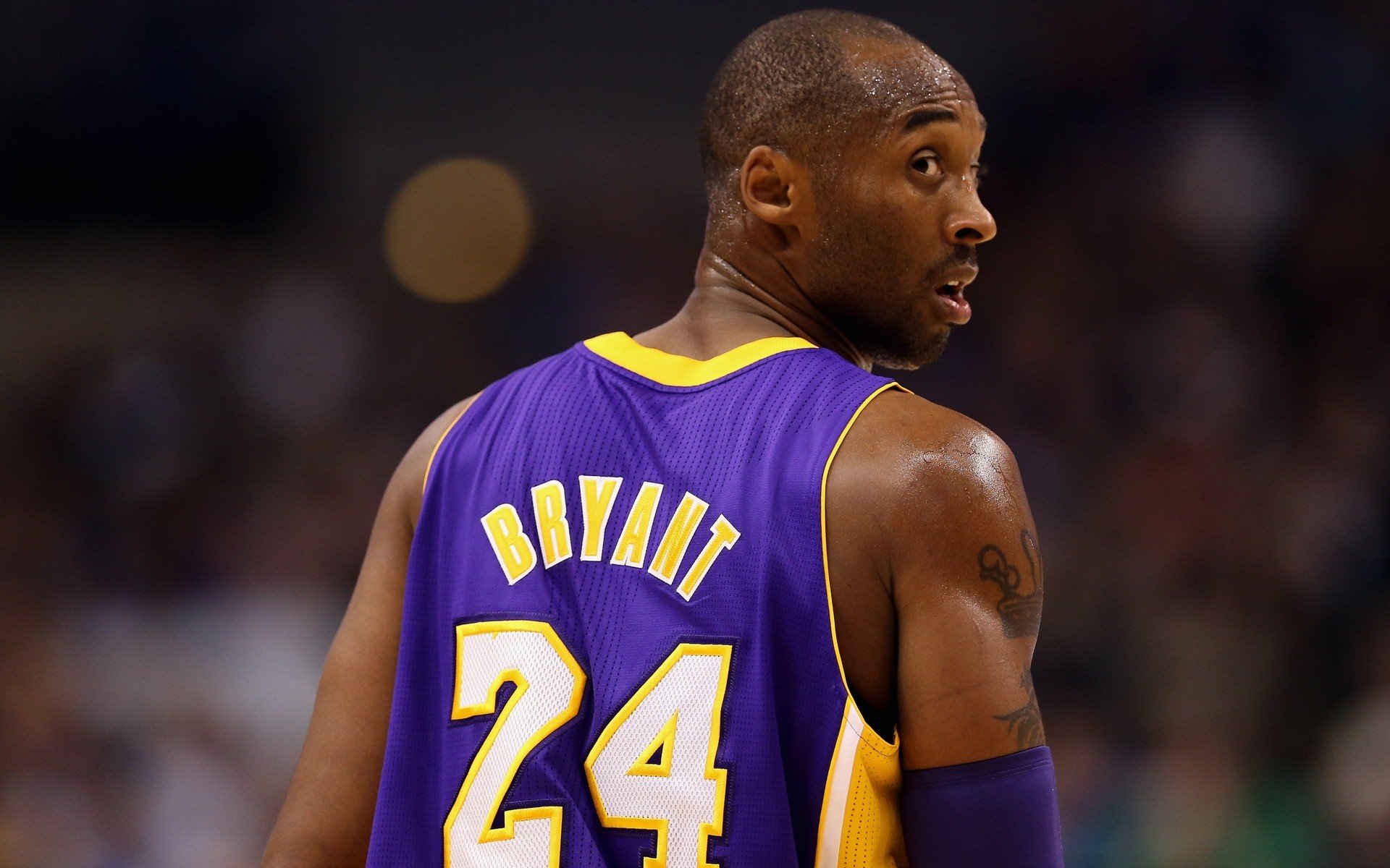 体育,NBA,湖人队,科比,MVP