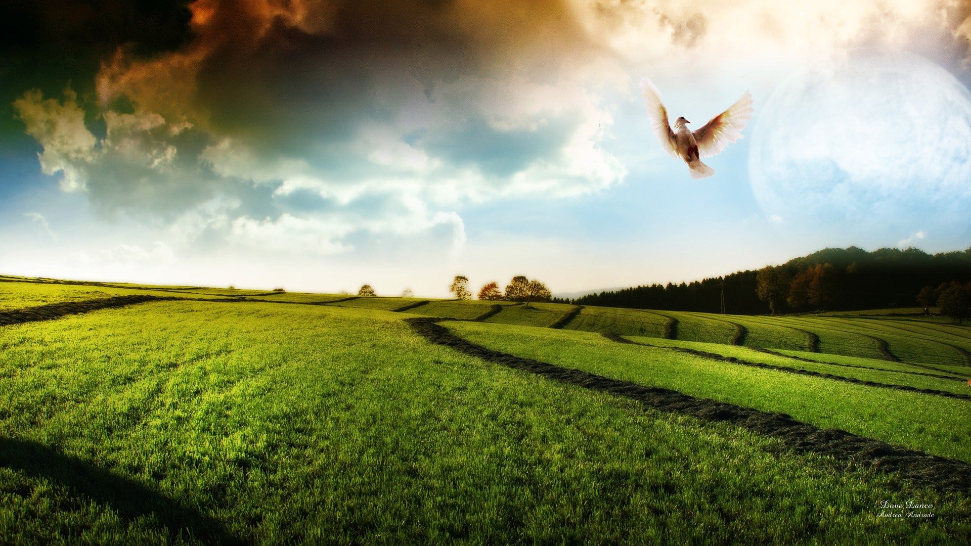 风景,落日余晖,儿童桌面专用