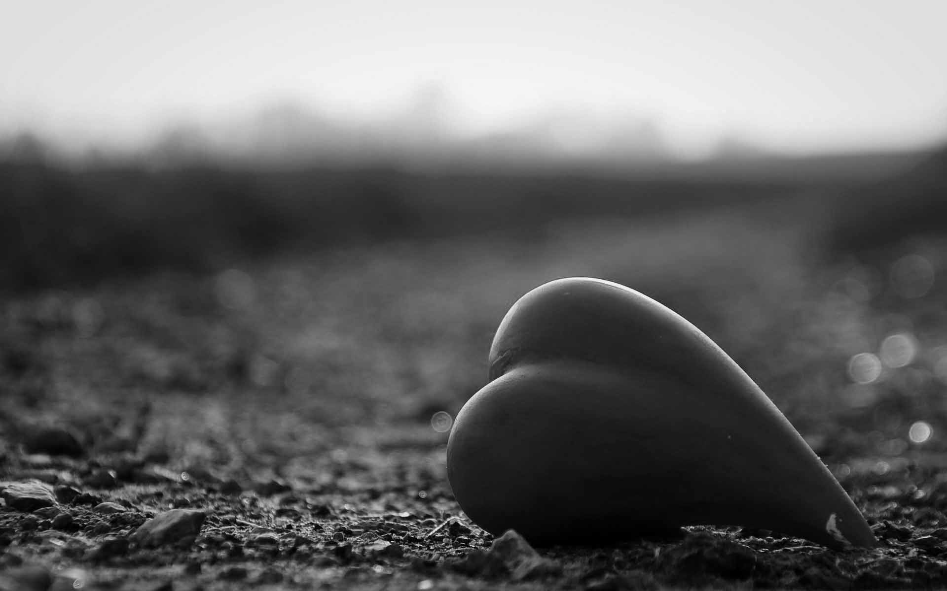 小清新,静物写真,静物,石头,十二月十三日