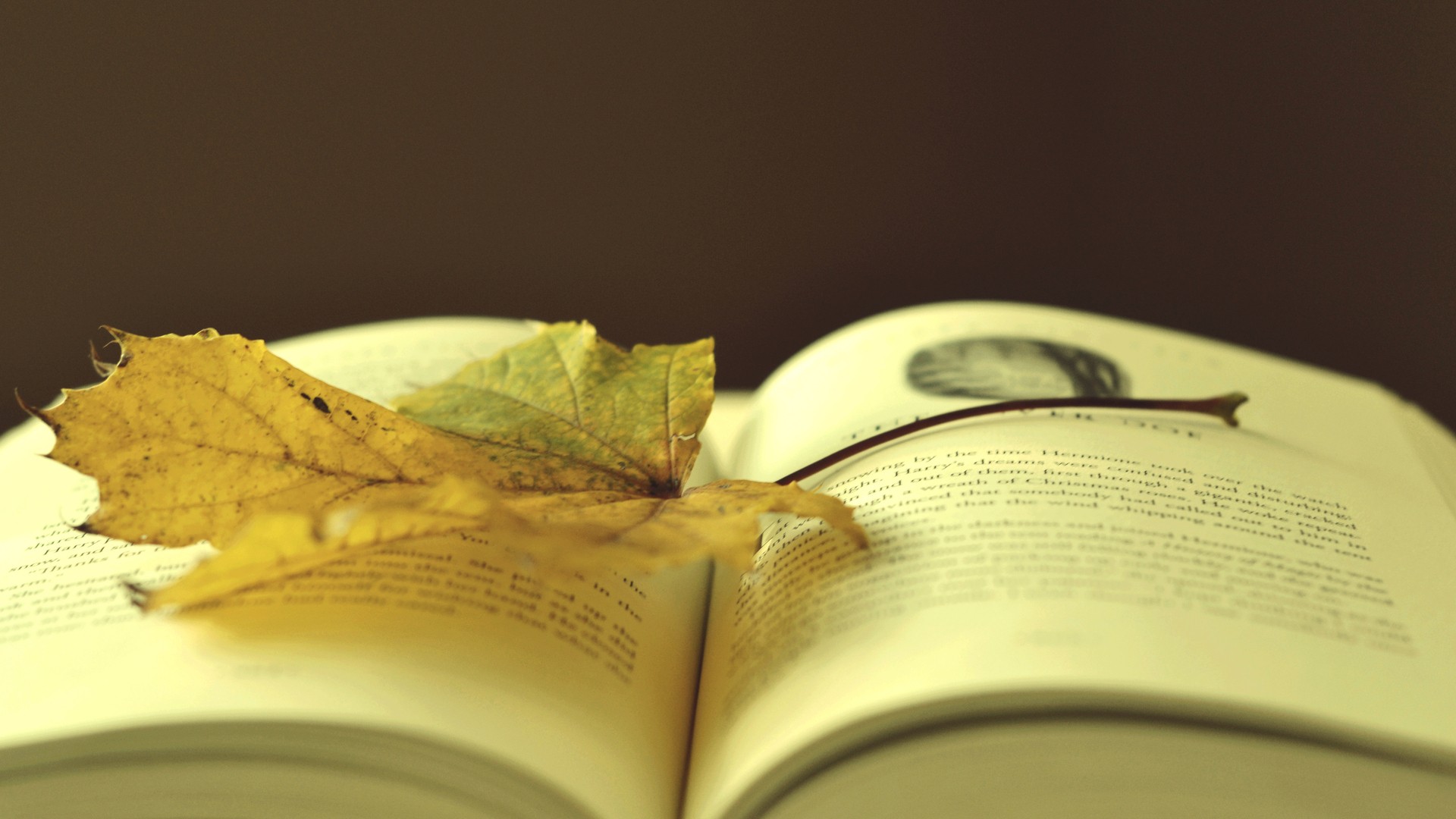 小清新,静物写真,静物,书,十二月十三日,儿童桌面专用