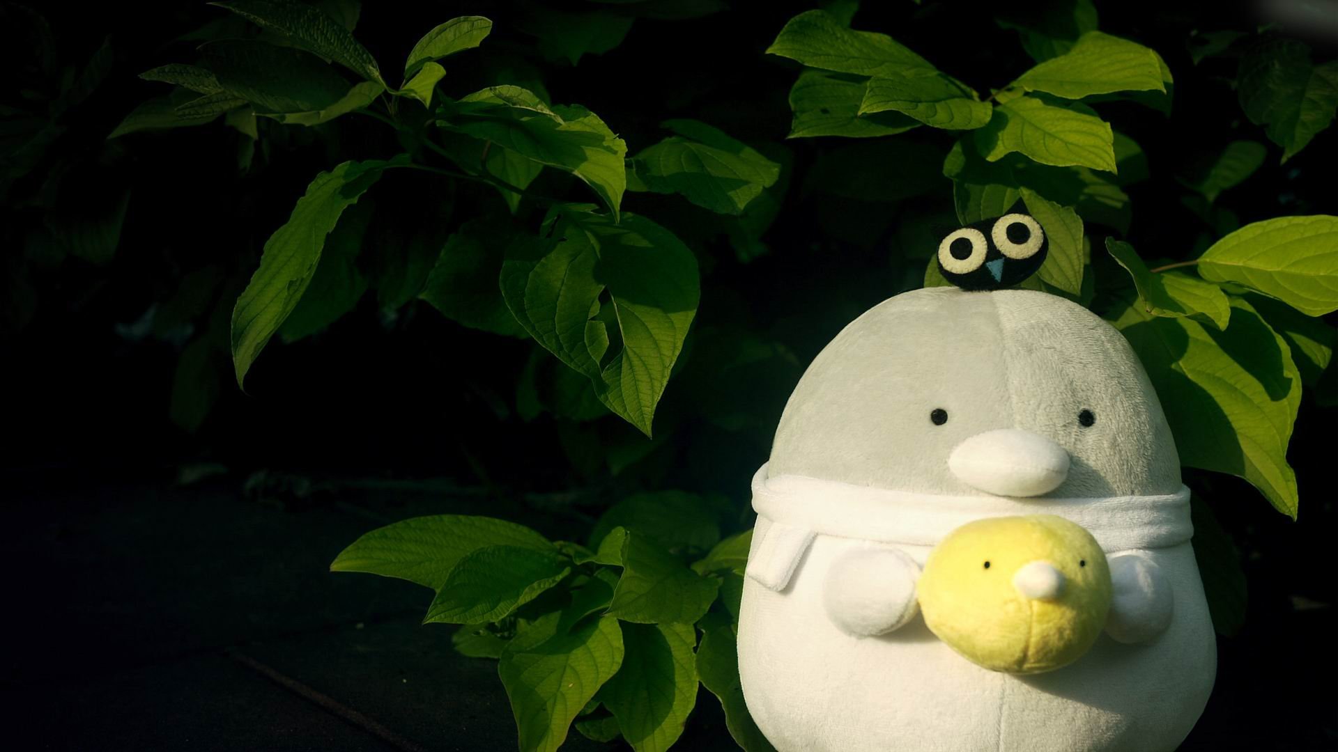 小清新,护眼壁纸,绿色,十二月二十六日,儿童桌面专用