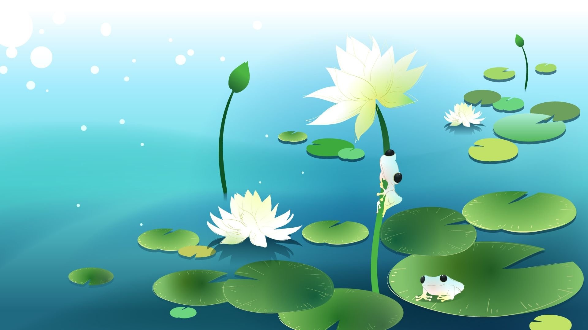 动漫,卡通,梦幻童年,小青蛙,池塘,儿童桌面专用