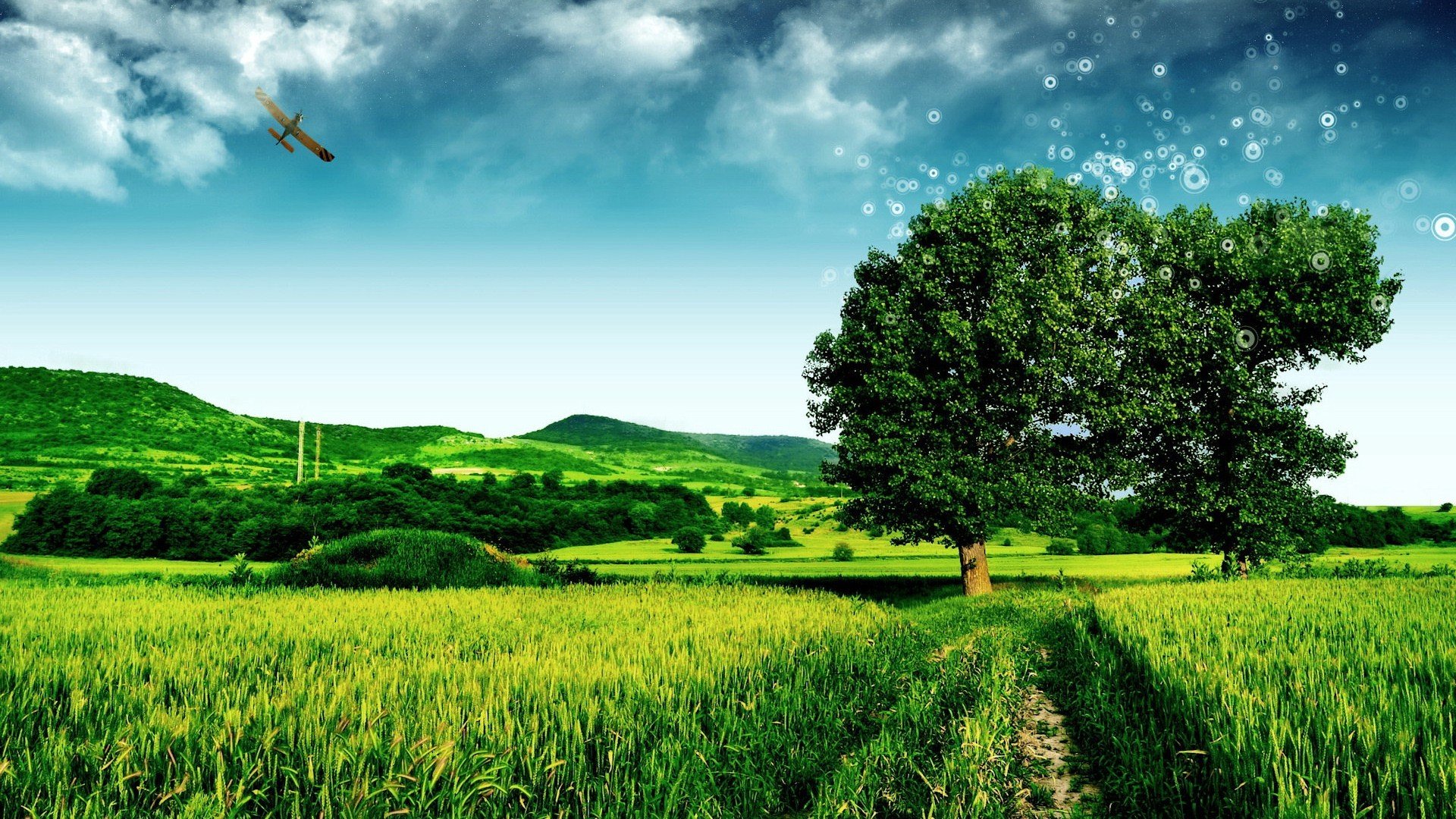 风景,风光,美景,旅游,自然,开阔风景,儿童桌面专用