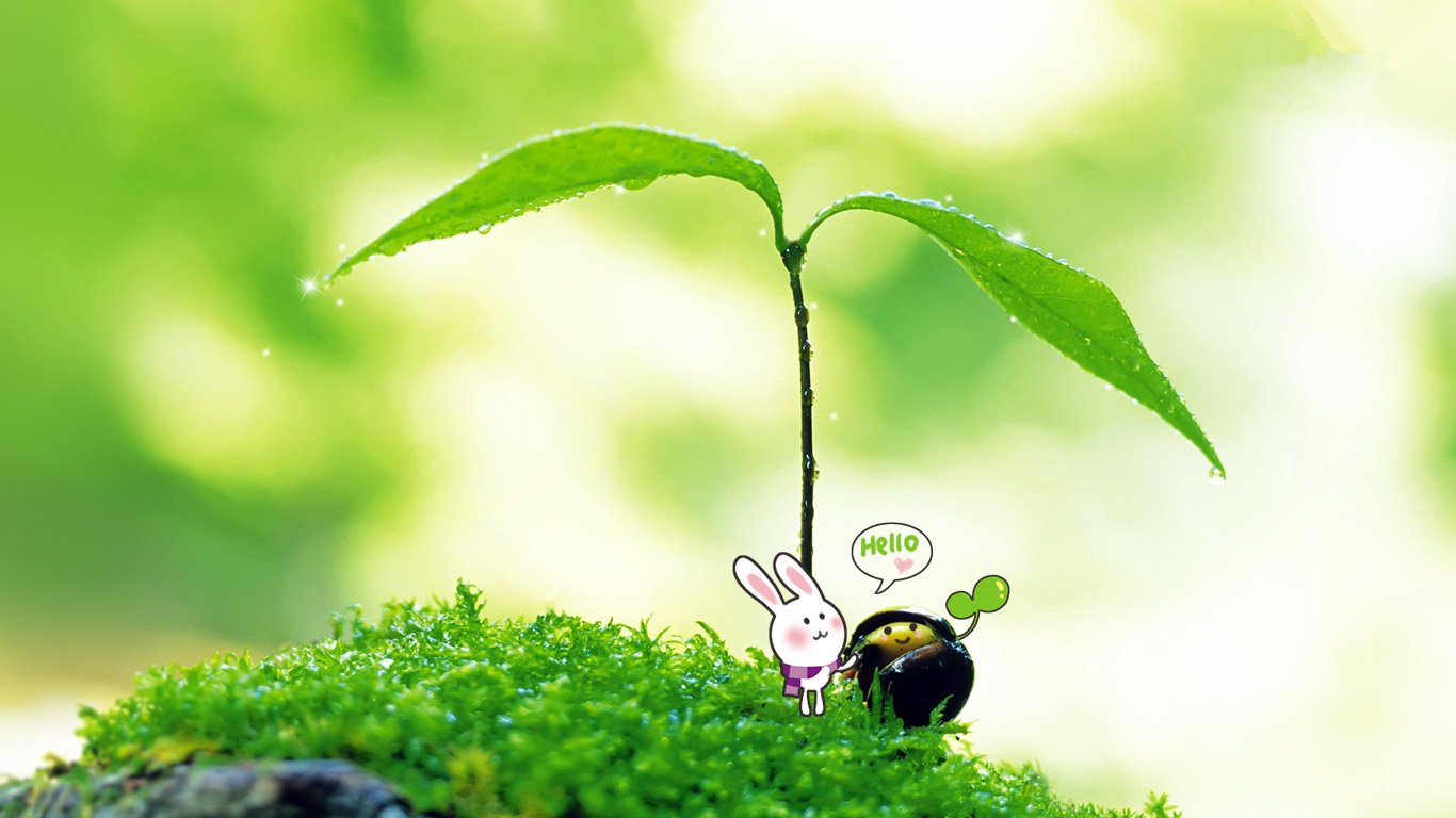 爱情美图,唯美温馨,绿色