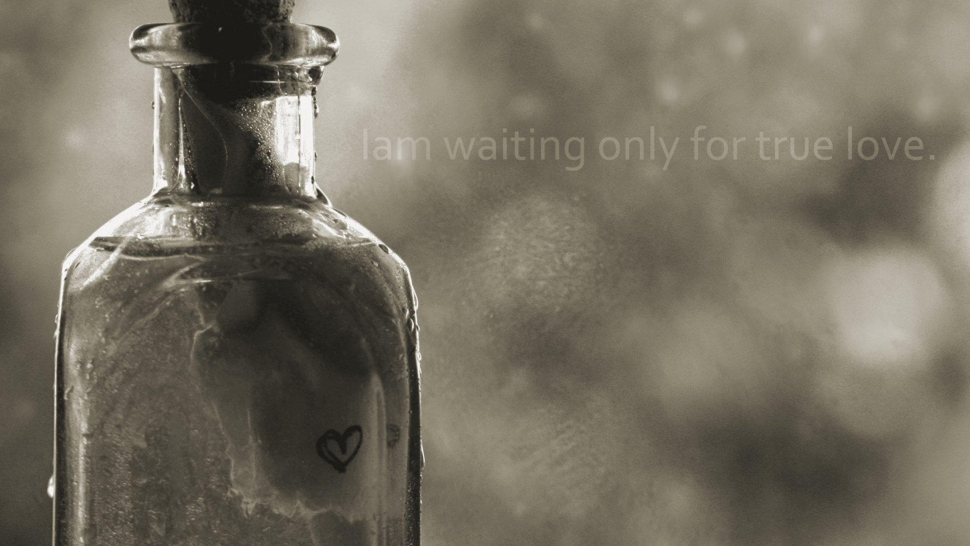 爱情美图,唯美温馨,许愿