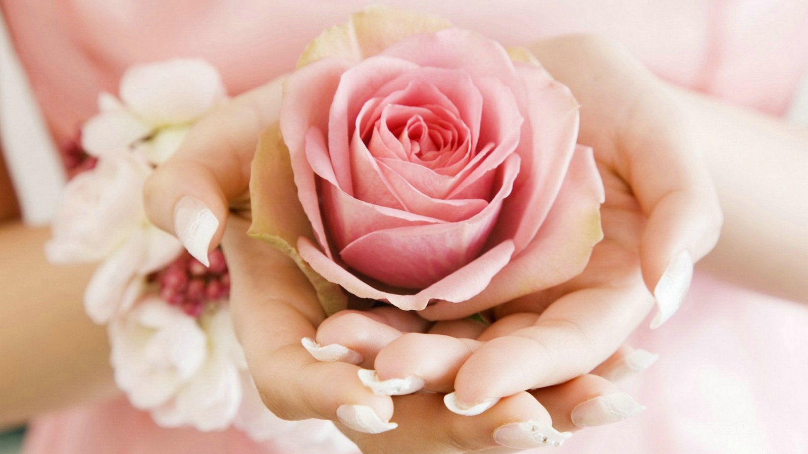 爱情美图,唯美温馨,玫瑰,浪漫