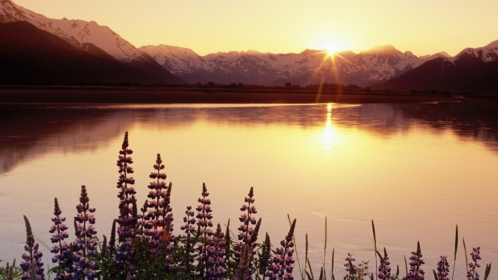 风景,风光,美景,旅游,自然,水流,海流,儿童桌面专用