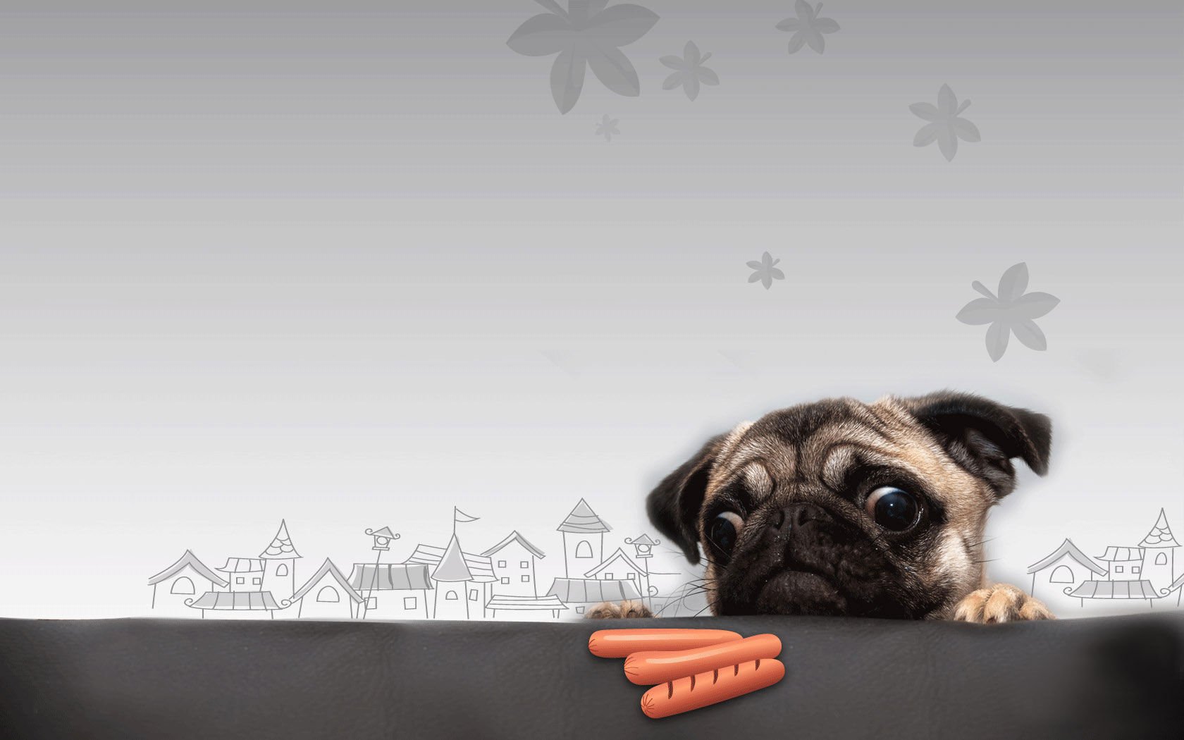 萌宠,汪星人,狗,卖萌,宠物,可爱,古灵精怪,搞笑图,憨态百出,儿童桌面专用