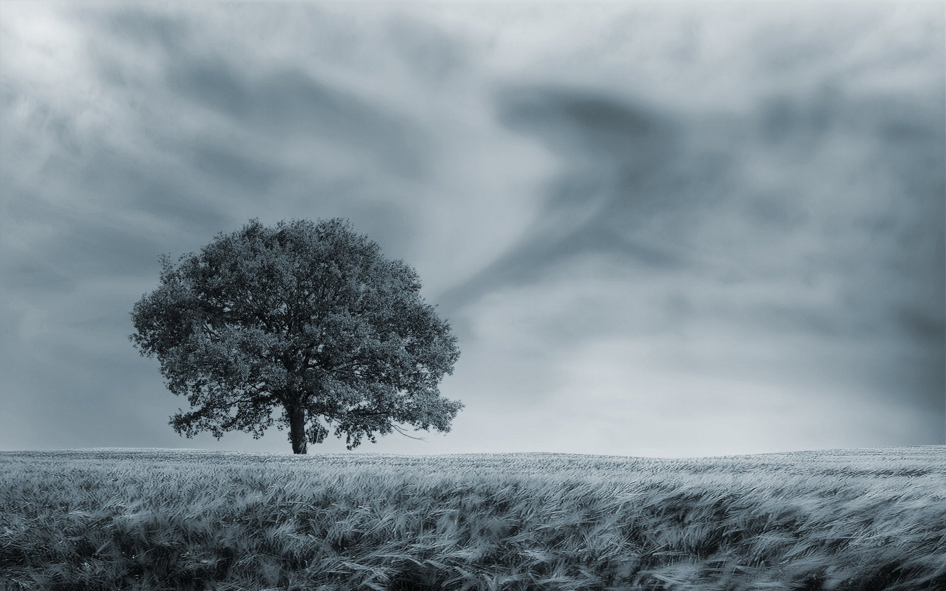 小清新,清新淡雅,1月30日,儿童桌面专用