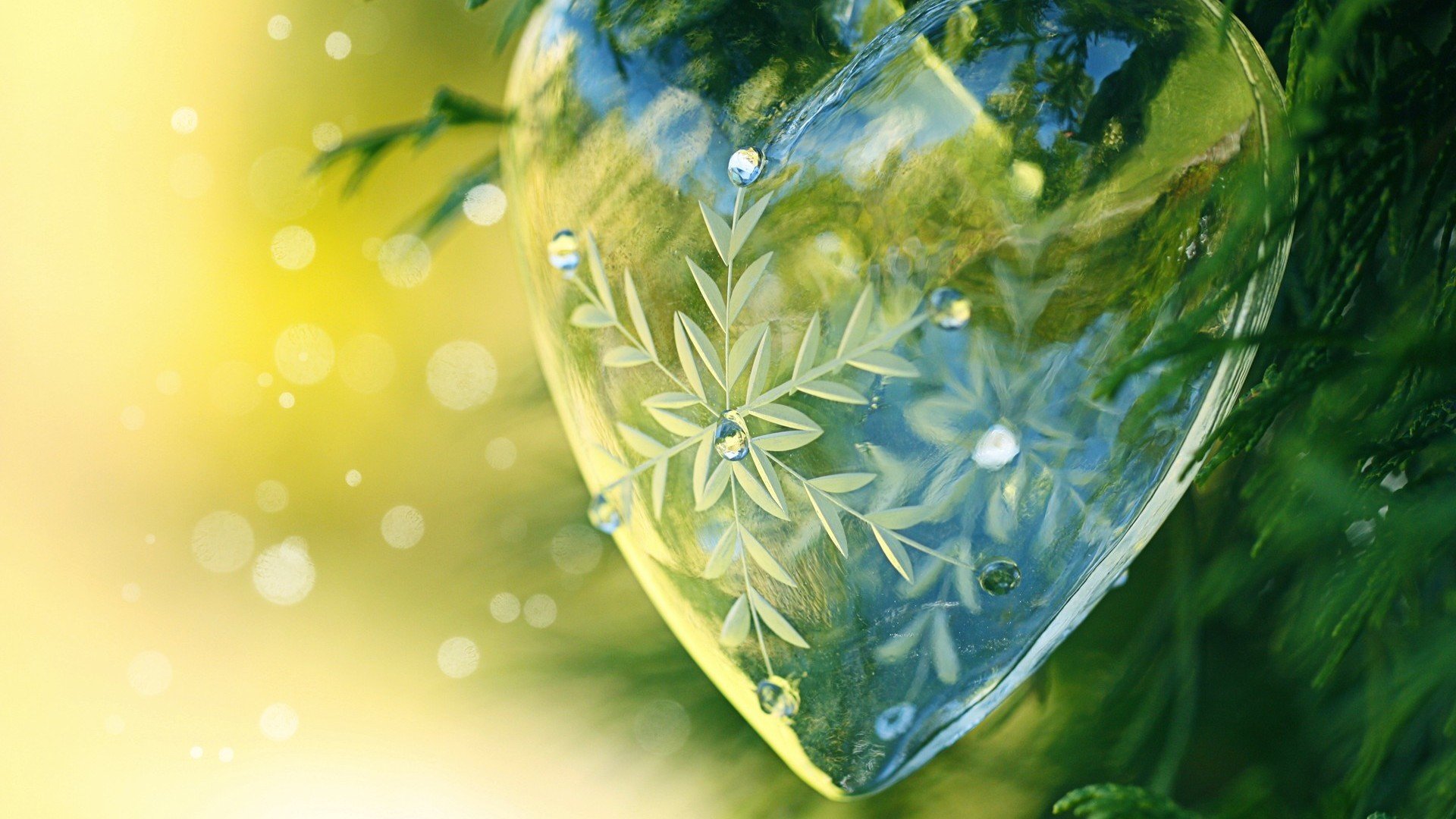 爱情美图,唯美温馨,爱心,绿