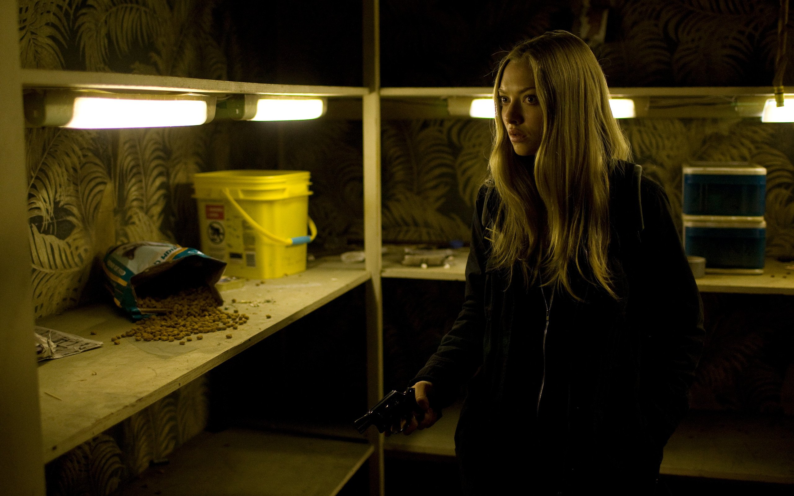 影视,夺命追踪,阿曼达塞弗里德,1月21日