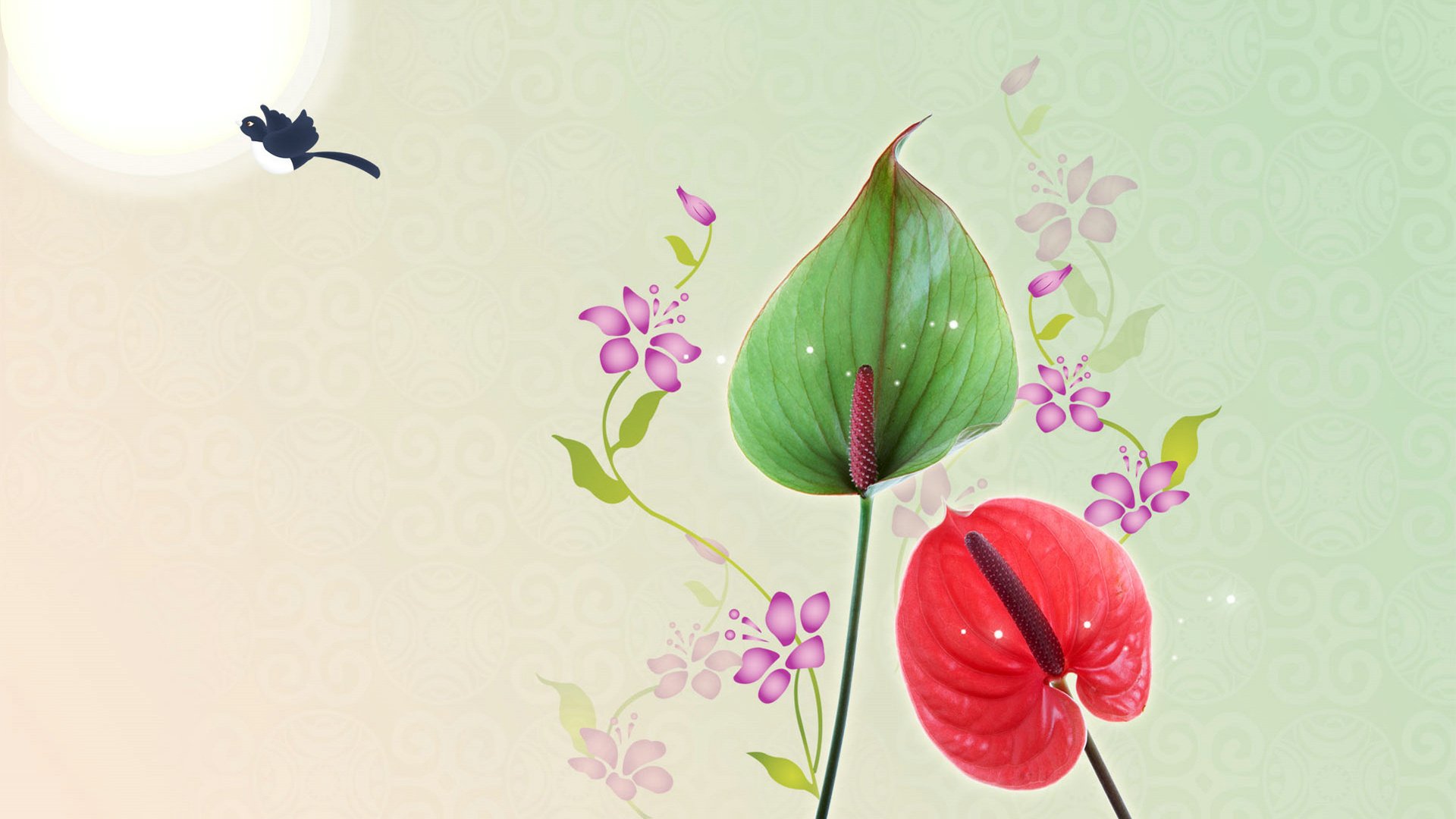 爱情美图,唯美温馨,在一起,爱情鸟